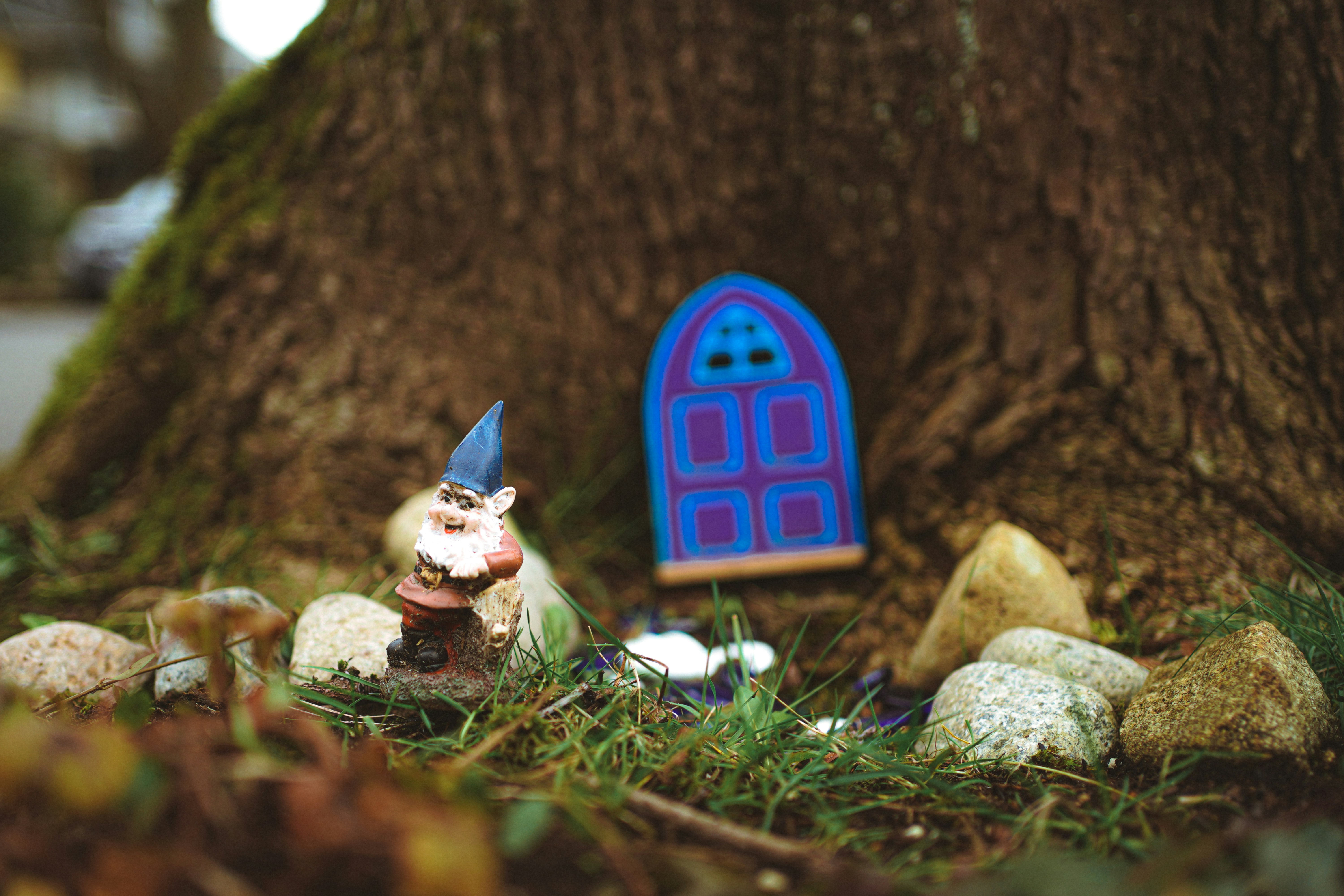 הקסם שבסימבולדרמה / ילנה גלוזמן