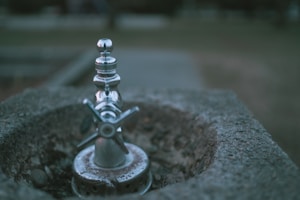PureFlow Fountain