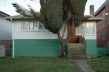 A small house with a green and white exterior stands with a unique tree in front, partially obscuring the facade. The house features a set of stairs leading to the main entrance, which is flanked by windows with blinds. The surrounding area includes a well-maintained lawn and neighboring houses visible on either side.