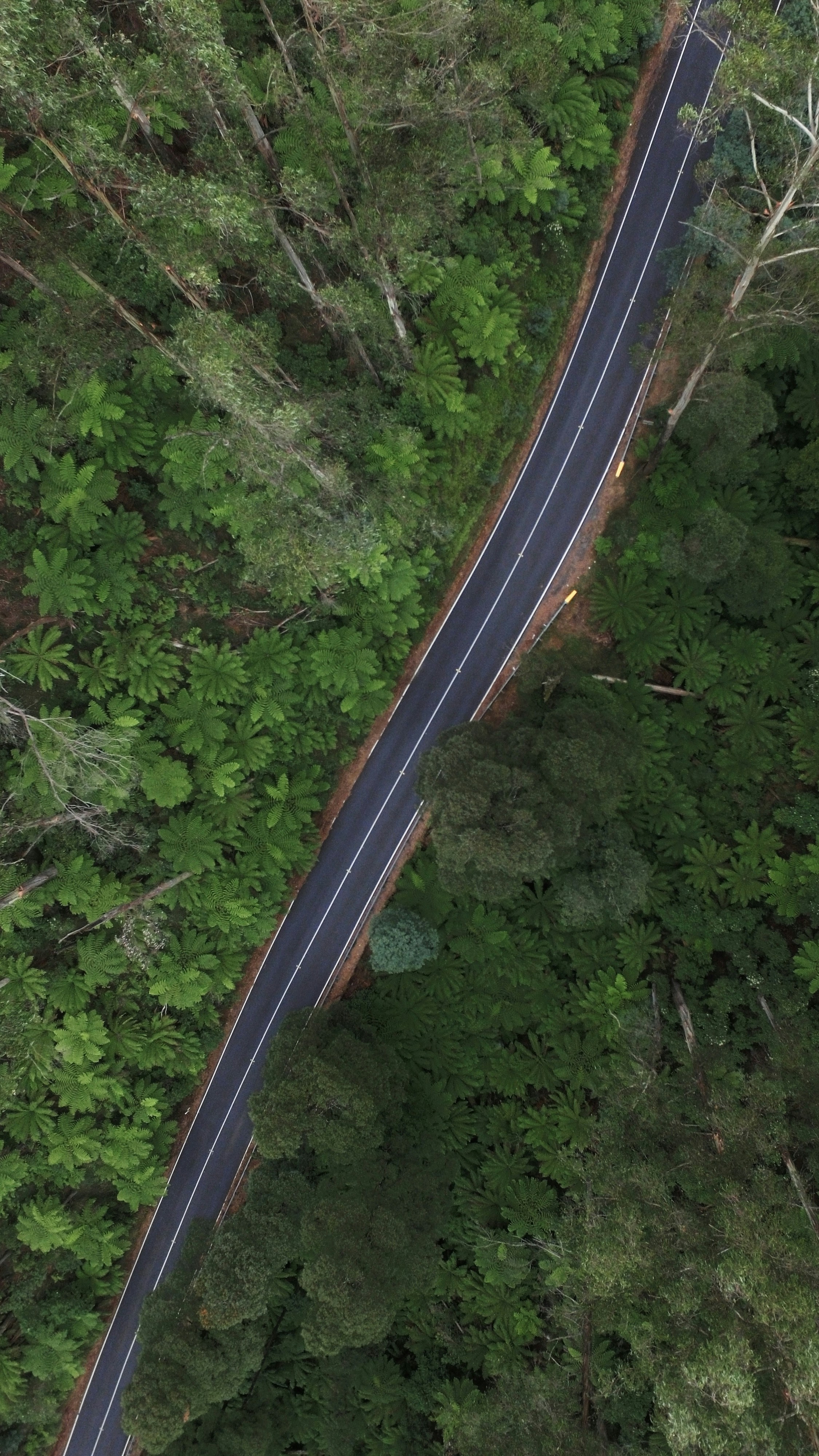 Photo by arthurhinton