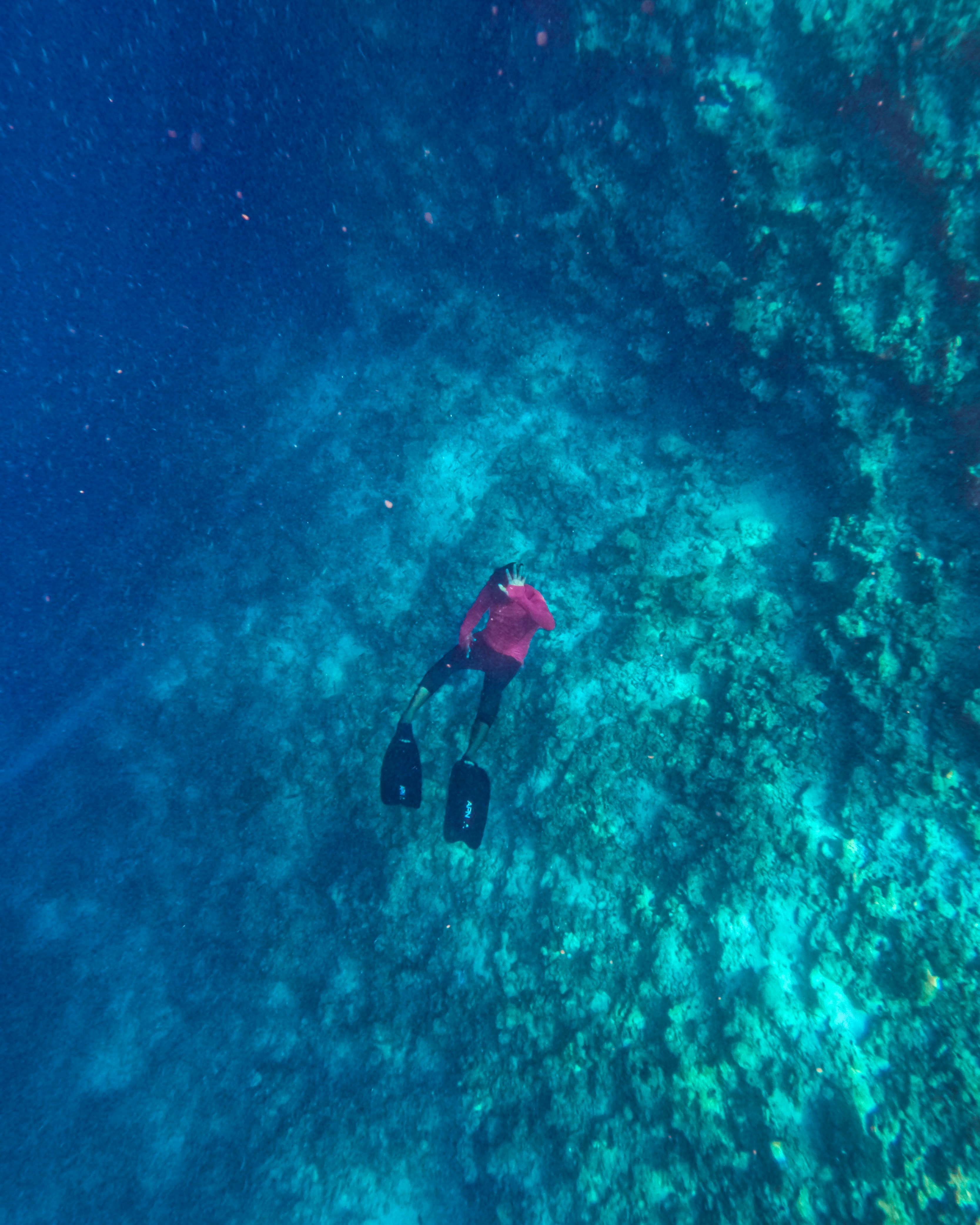 a person with a red umbrella in the water