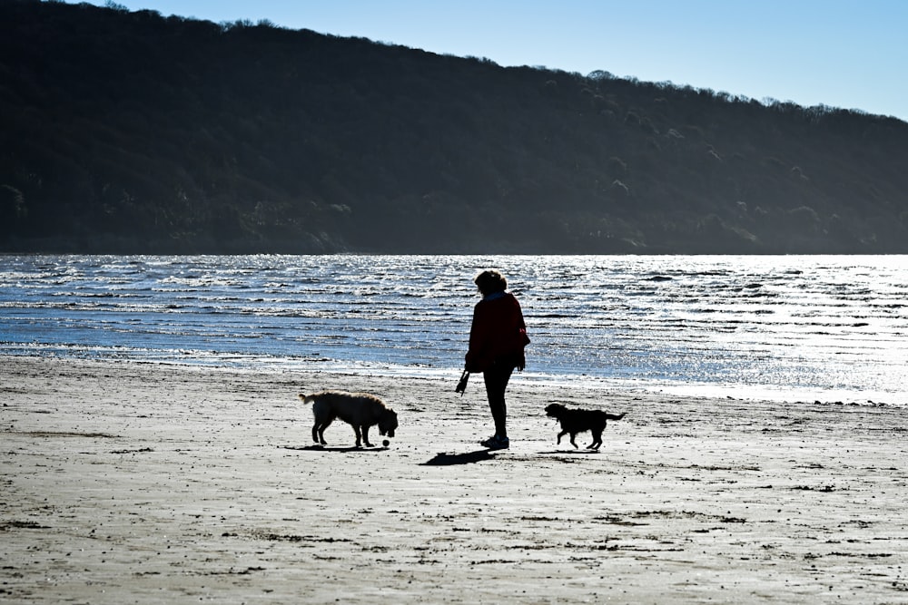 a woman walking two dogs on a beach