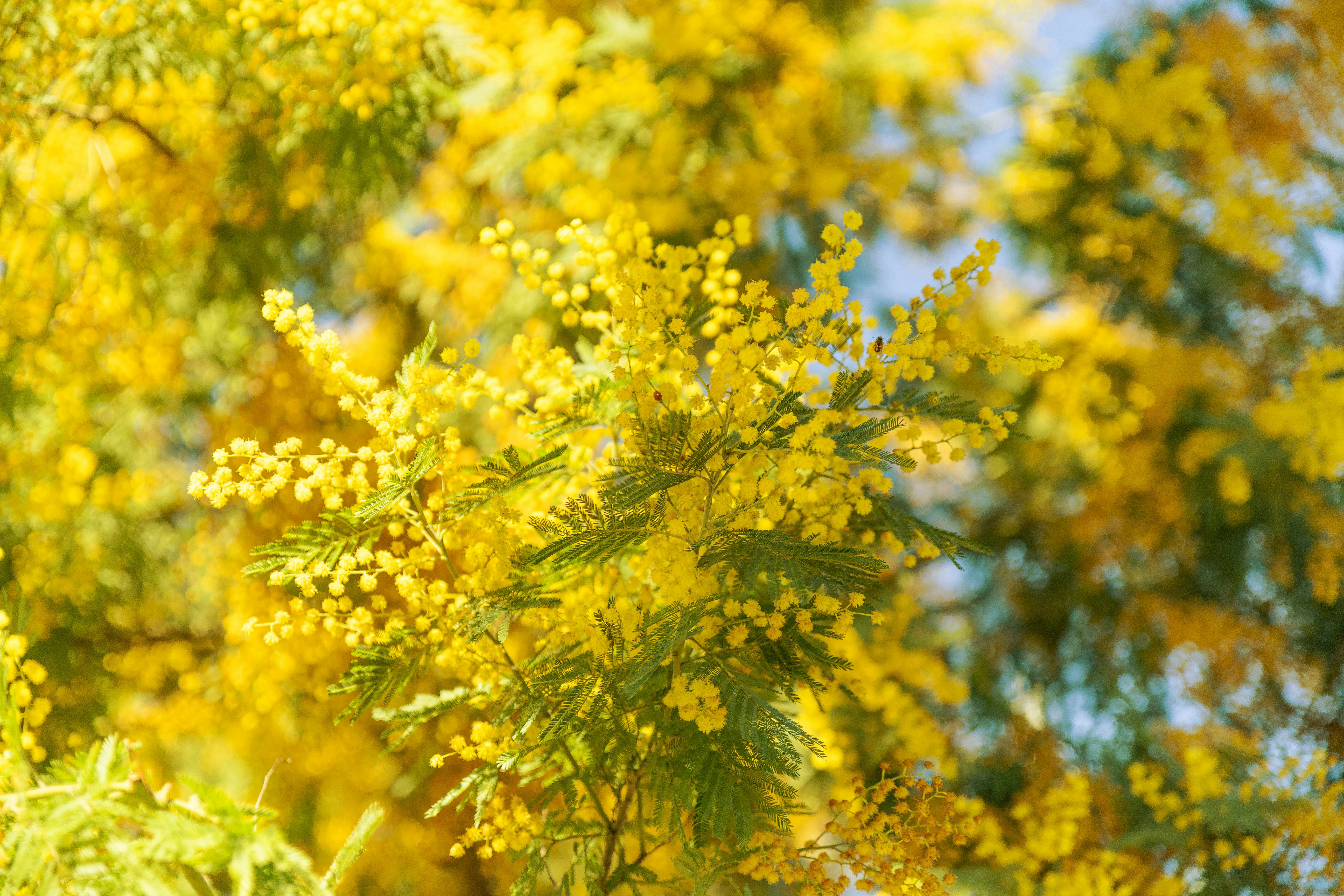 Photo by anitaaustvika