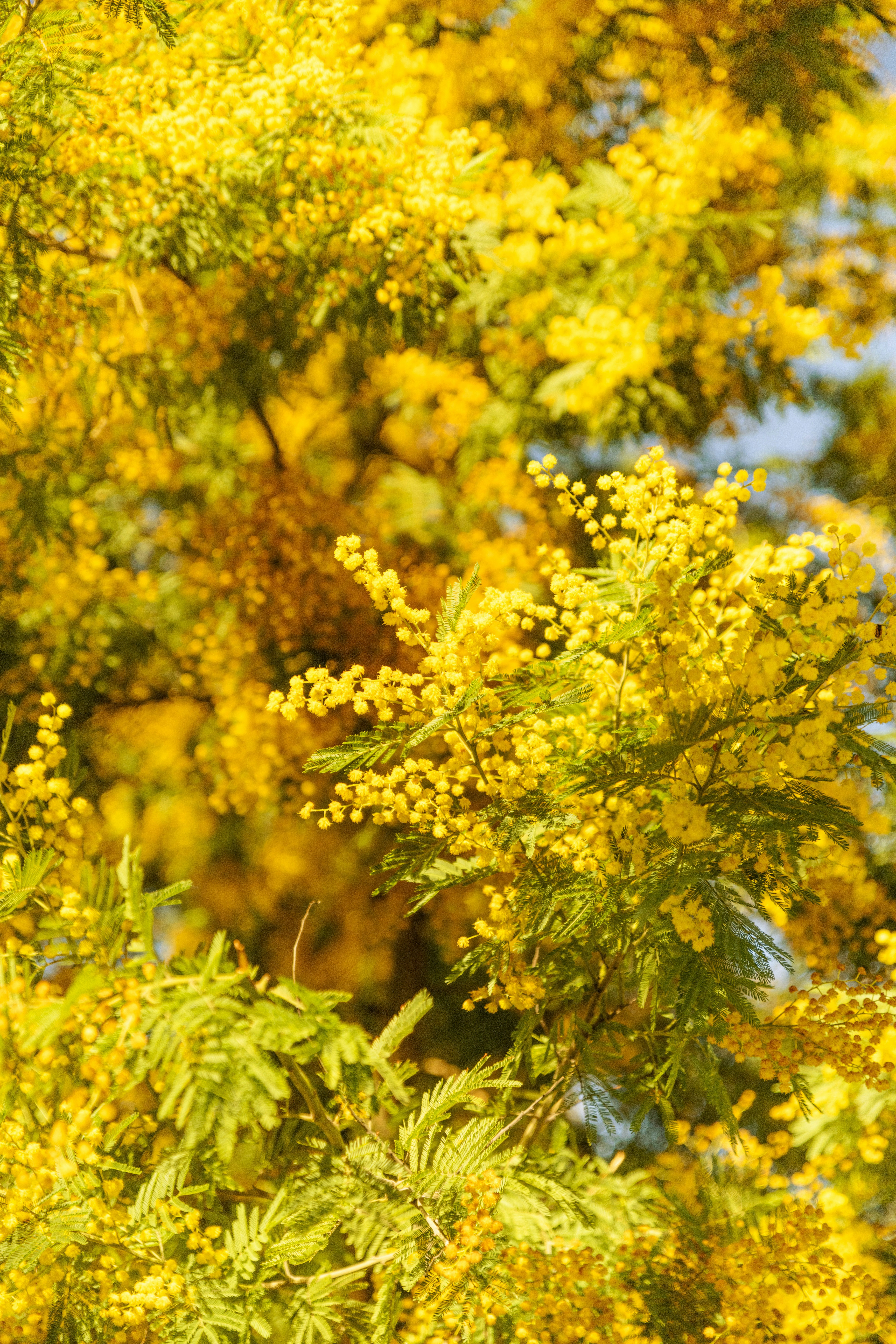 Photo by anitaaustvika