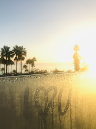 A misty window displays the words 'I ♥ U' written with a finger. In the background, a scenic view features palm trees silhouetted against a bright, golden sunset over the ocean.