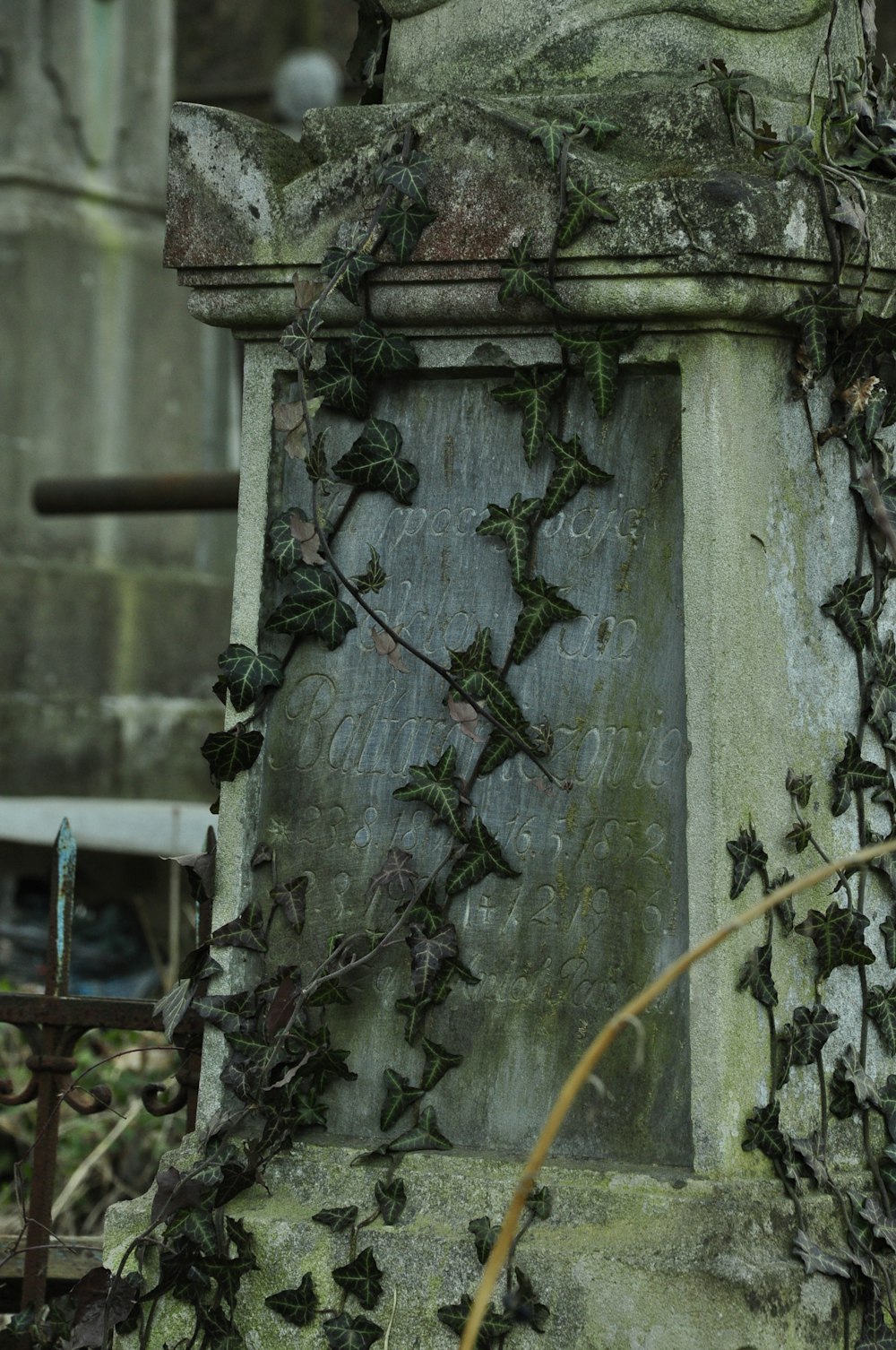 an old cemetery with ivy growing on it