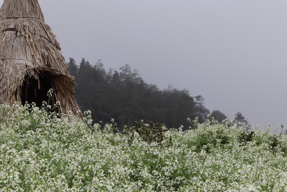 a grass hut in the middle of a field of flowers