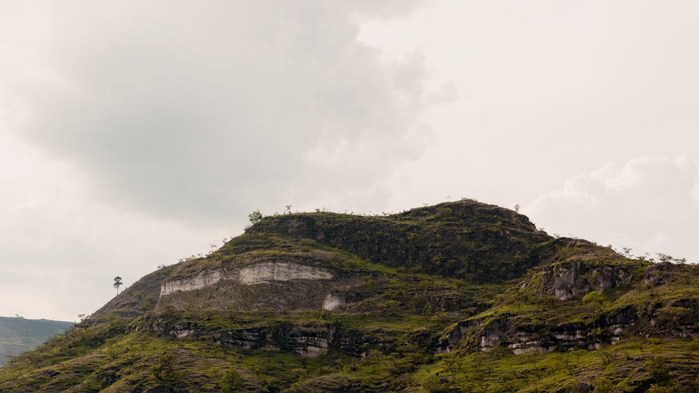 a hill with a tree on top of it