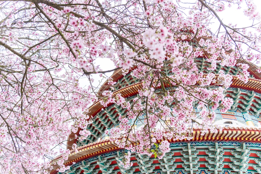 a building with a red roof and a tree with pink flowers