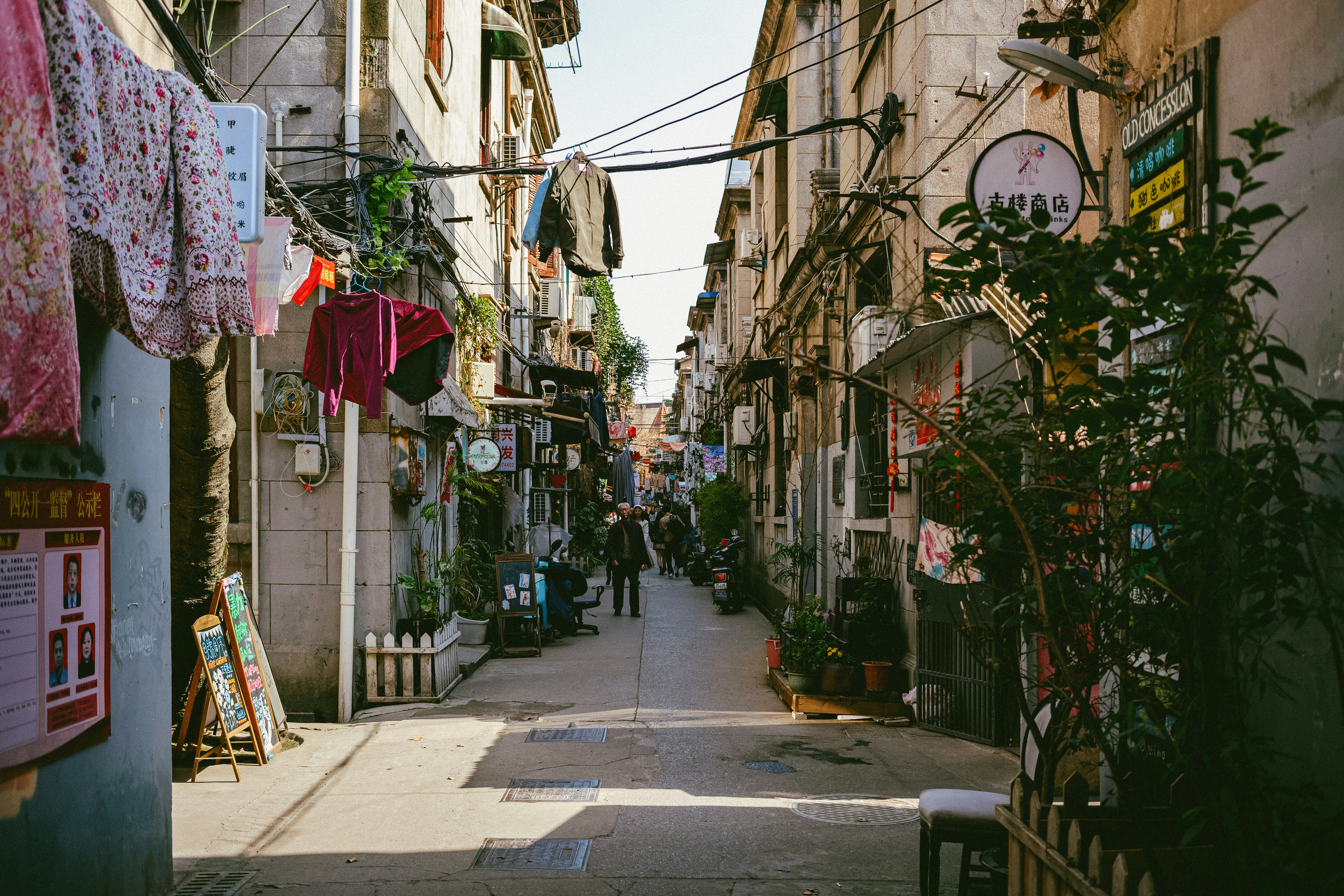 Photo by tommaomaoer