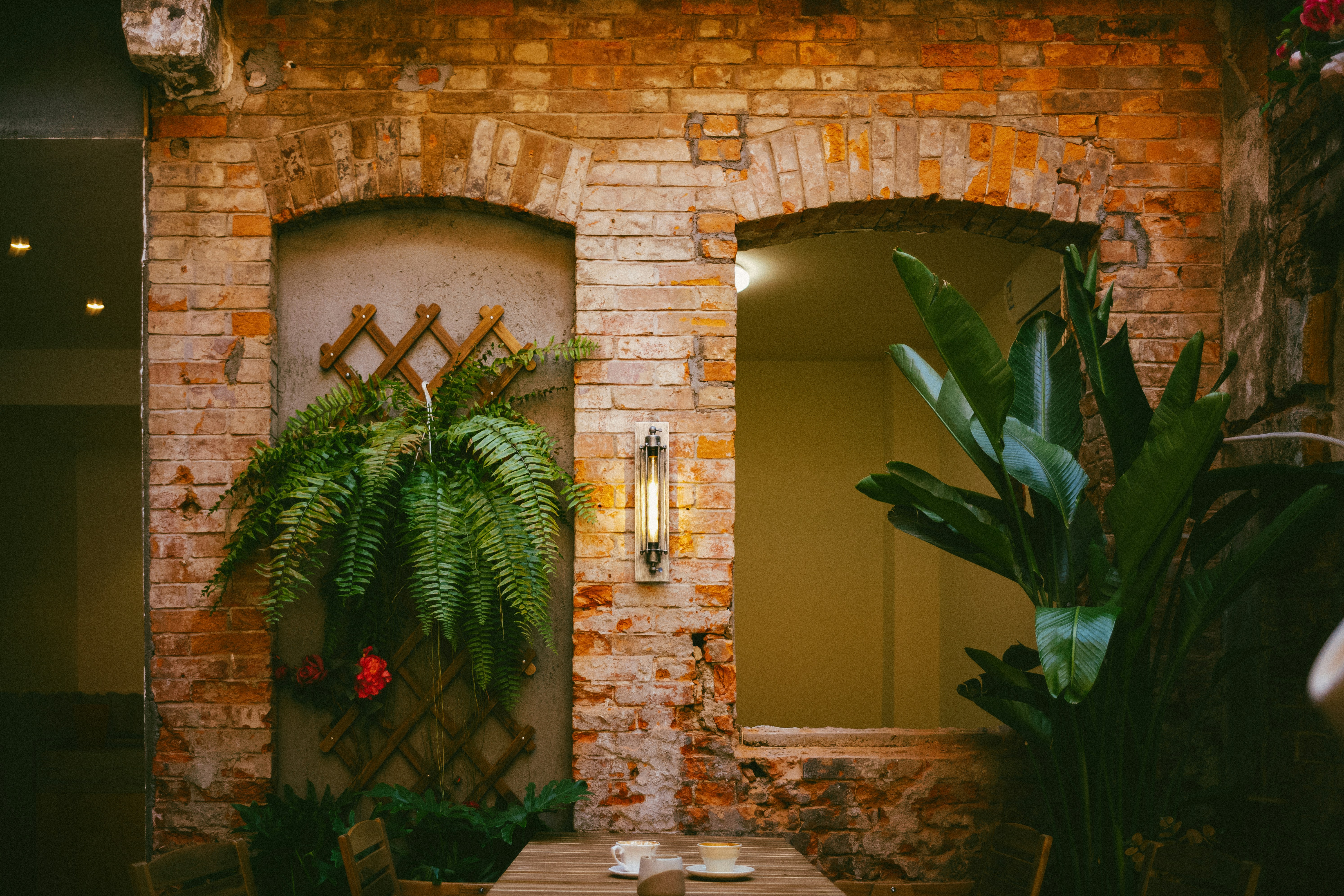 Photo by tommaomaoer