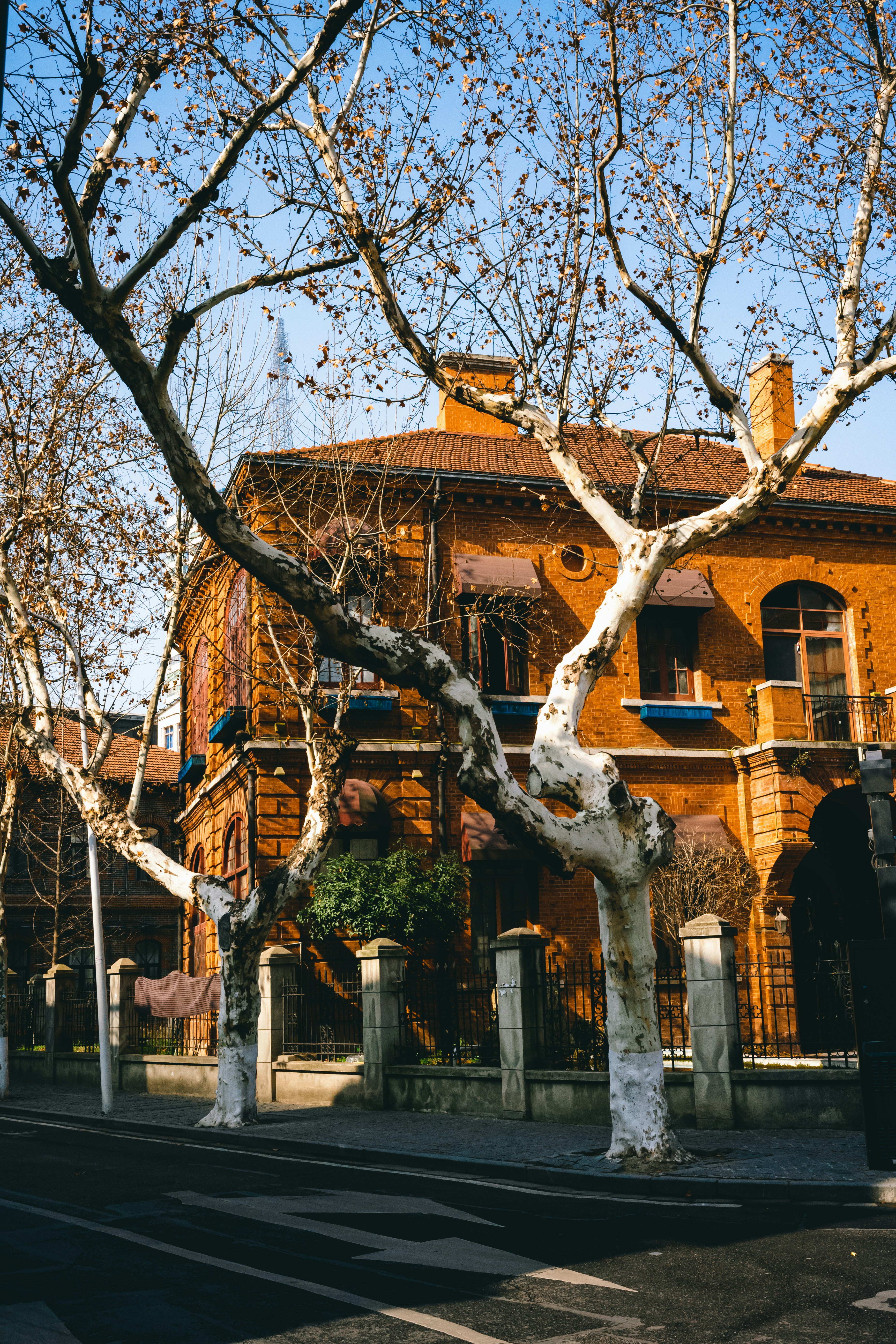 Photo by tommaomaoer