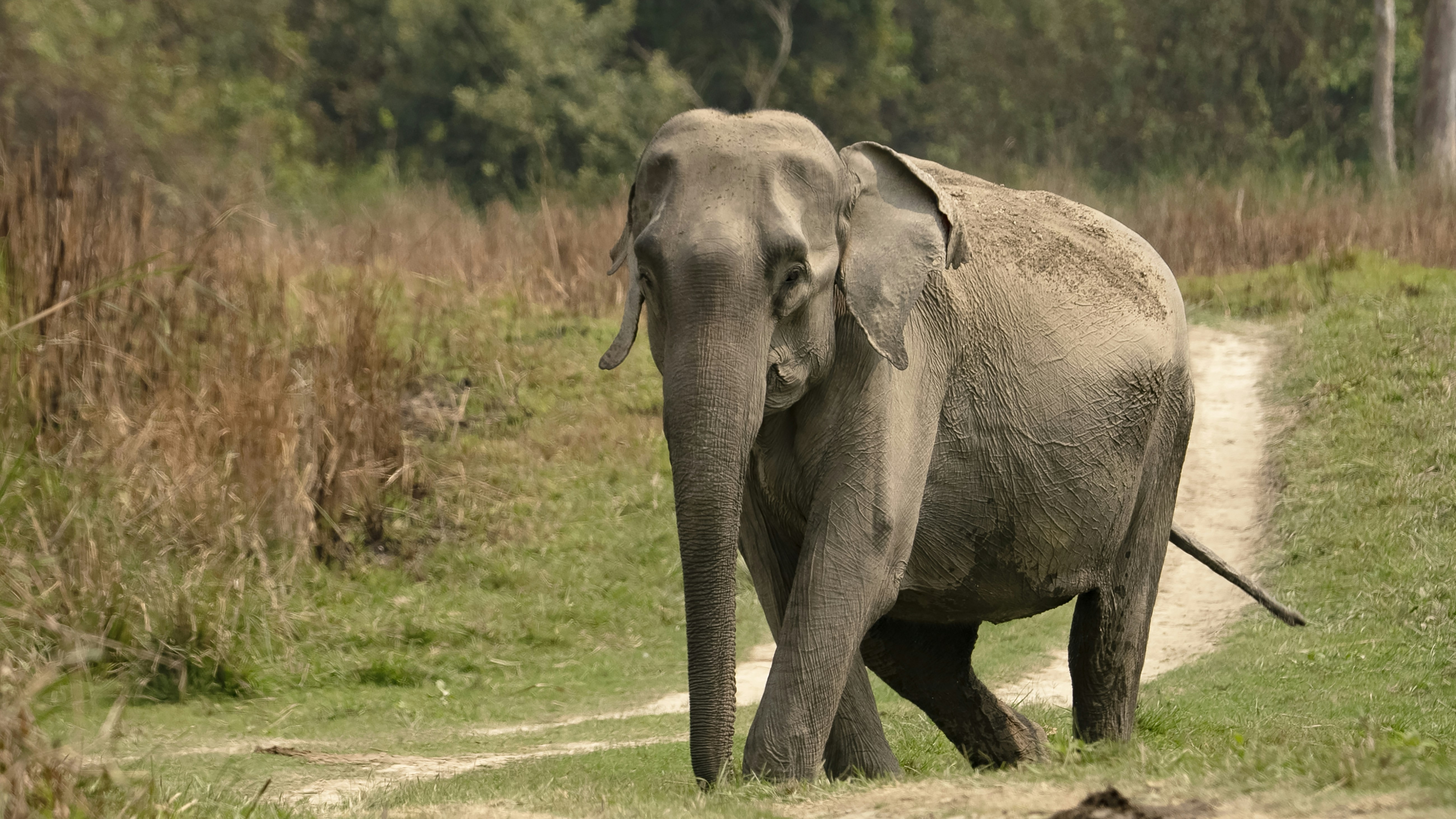 Photo by rohit_varma