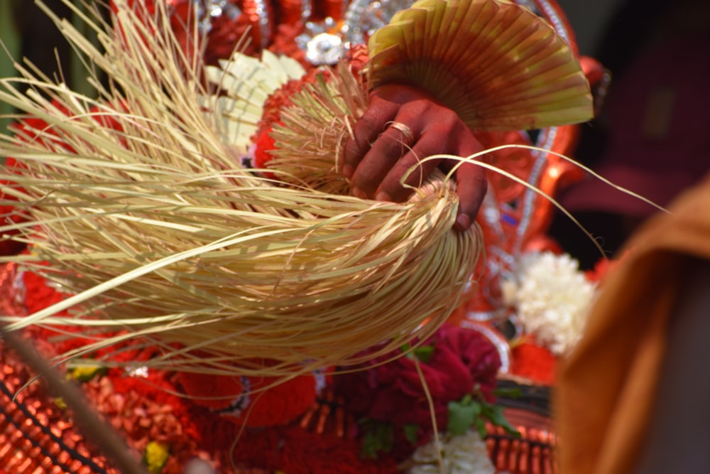 a close up of a person holding a plant