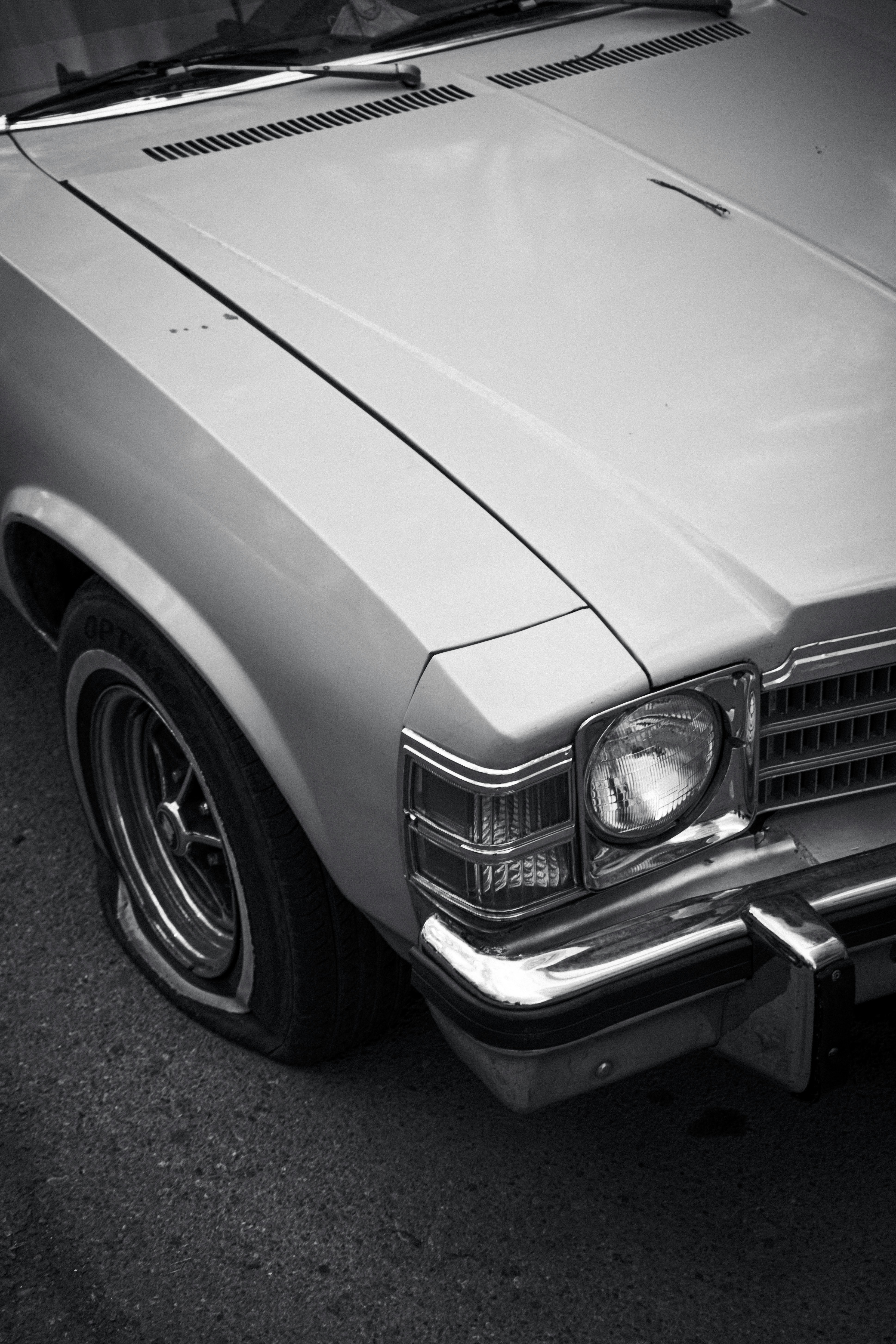 Photo by ilostmyselfout