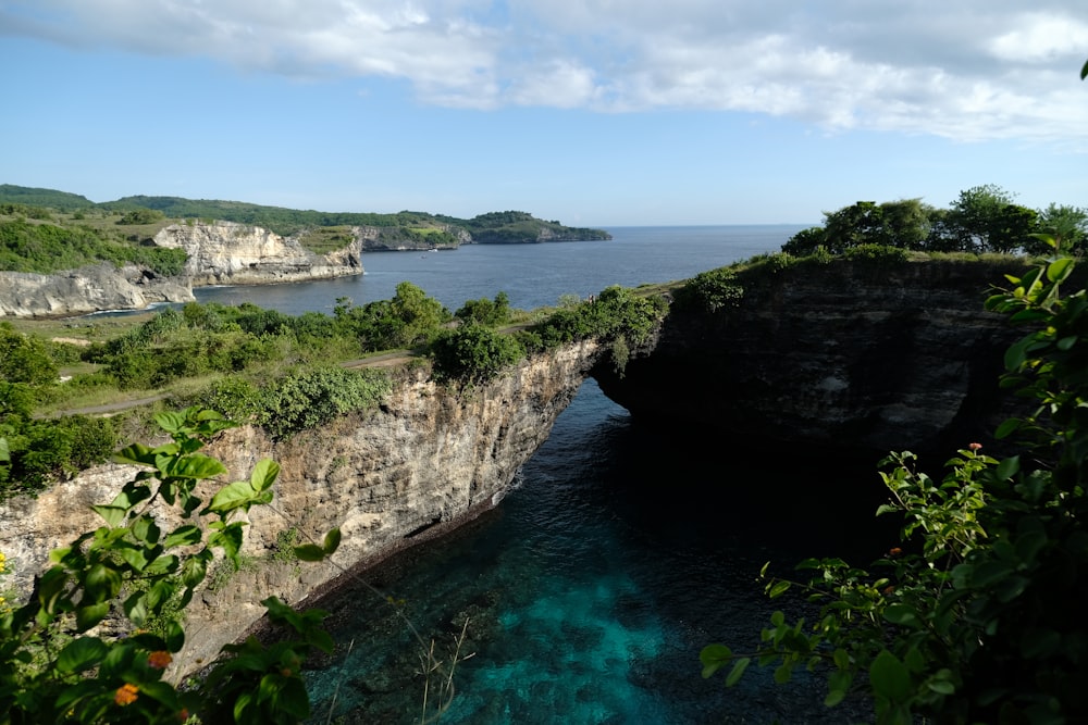 a large body of water surrounded by lush green trees