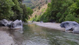 A serene river flowing through a lush green forest preserved by local efforts
