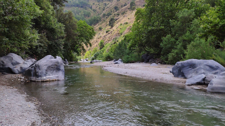 A serene river flowing through a lush green forest preserved by local efforts