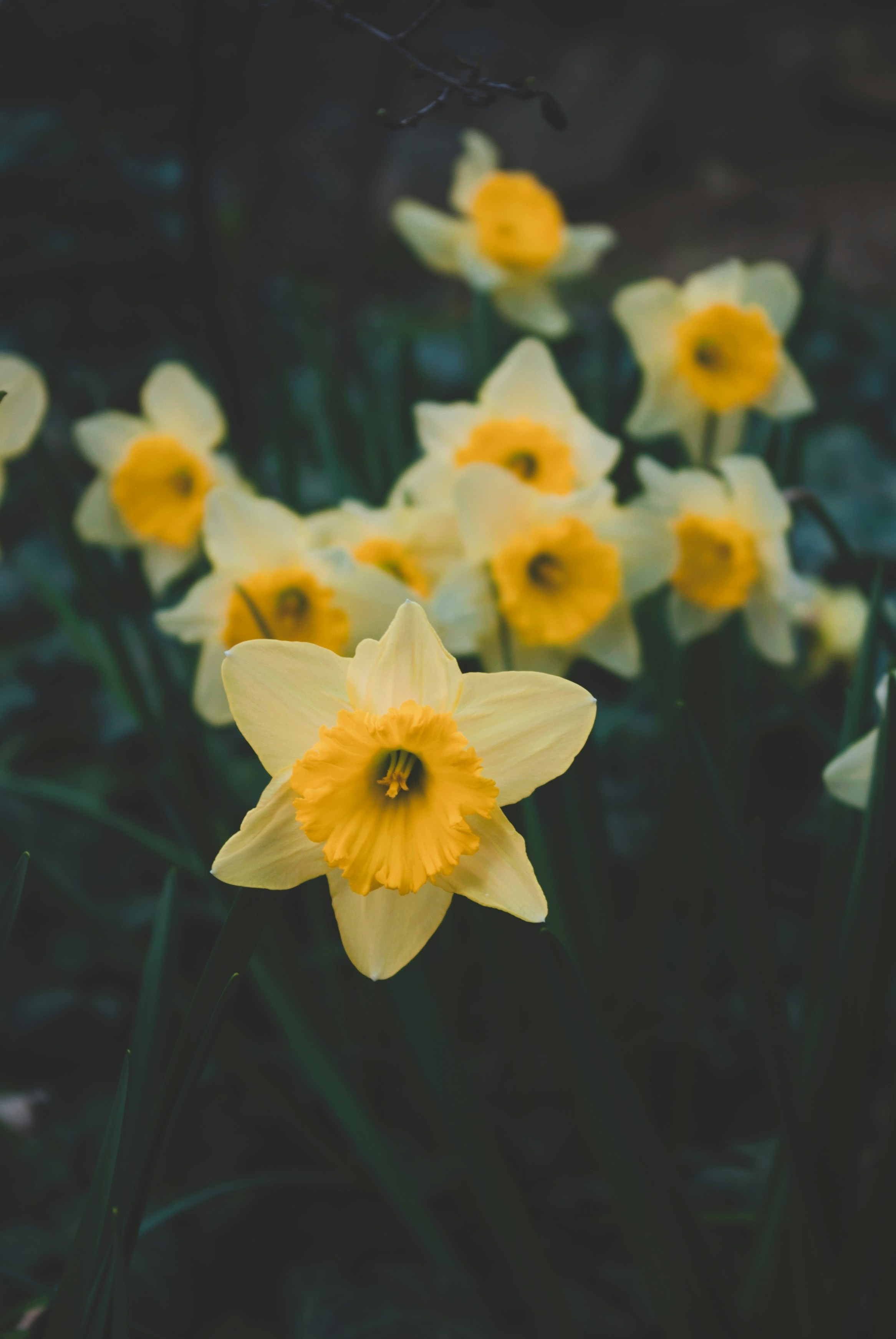 Photo by moonmoons_days