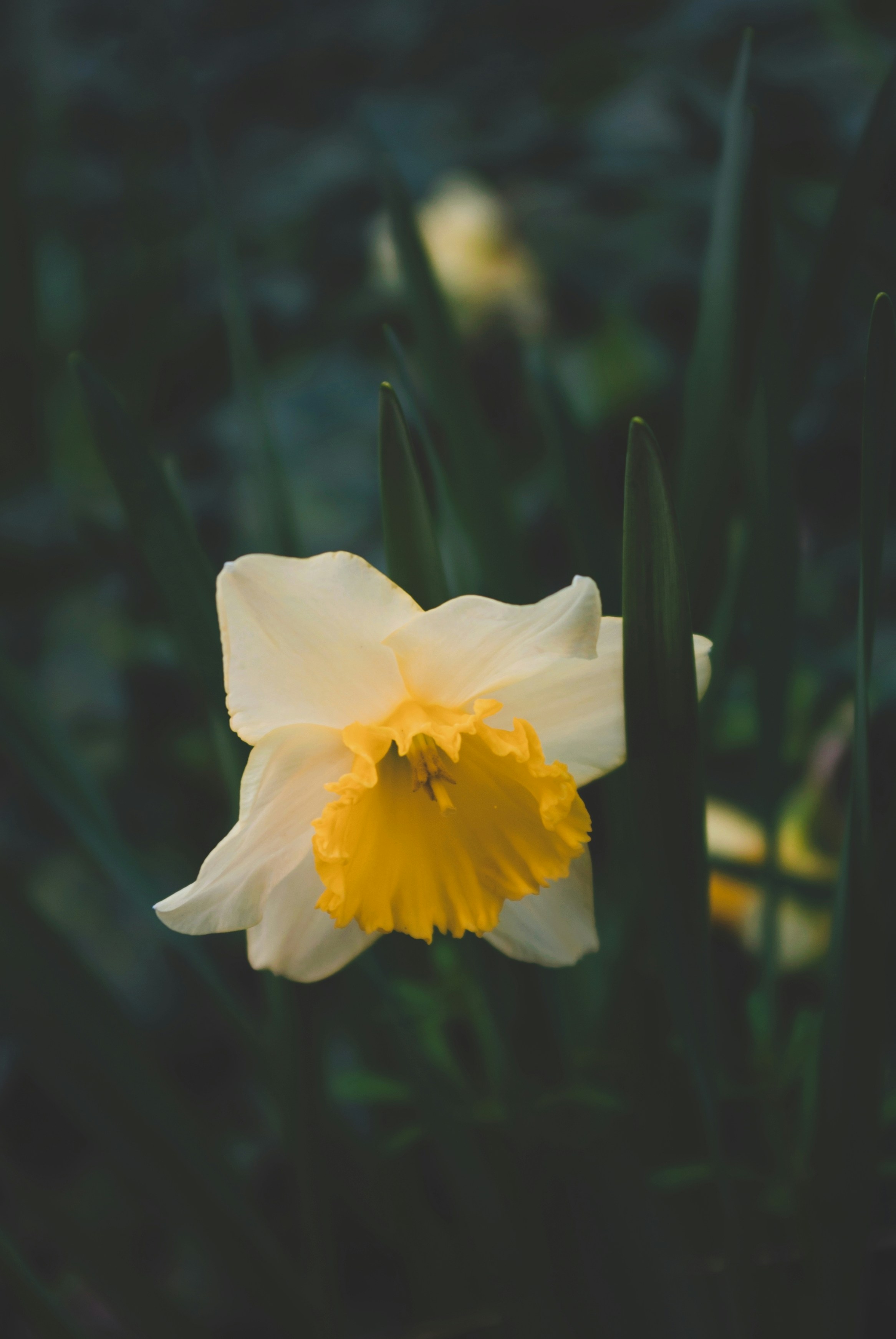 Photo by moonmoons_days