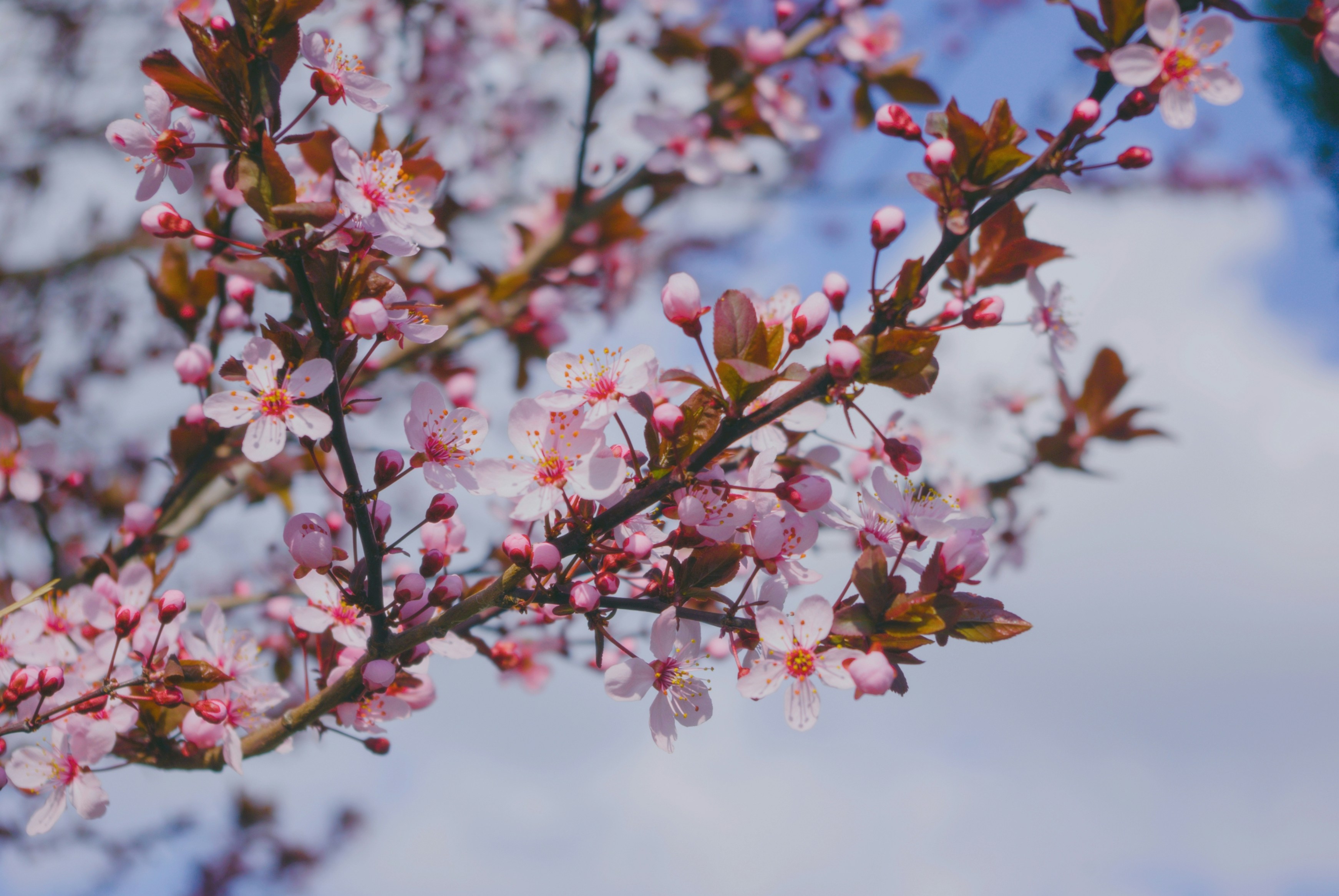 Photo by moonmoons_days