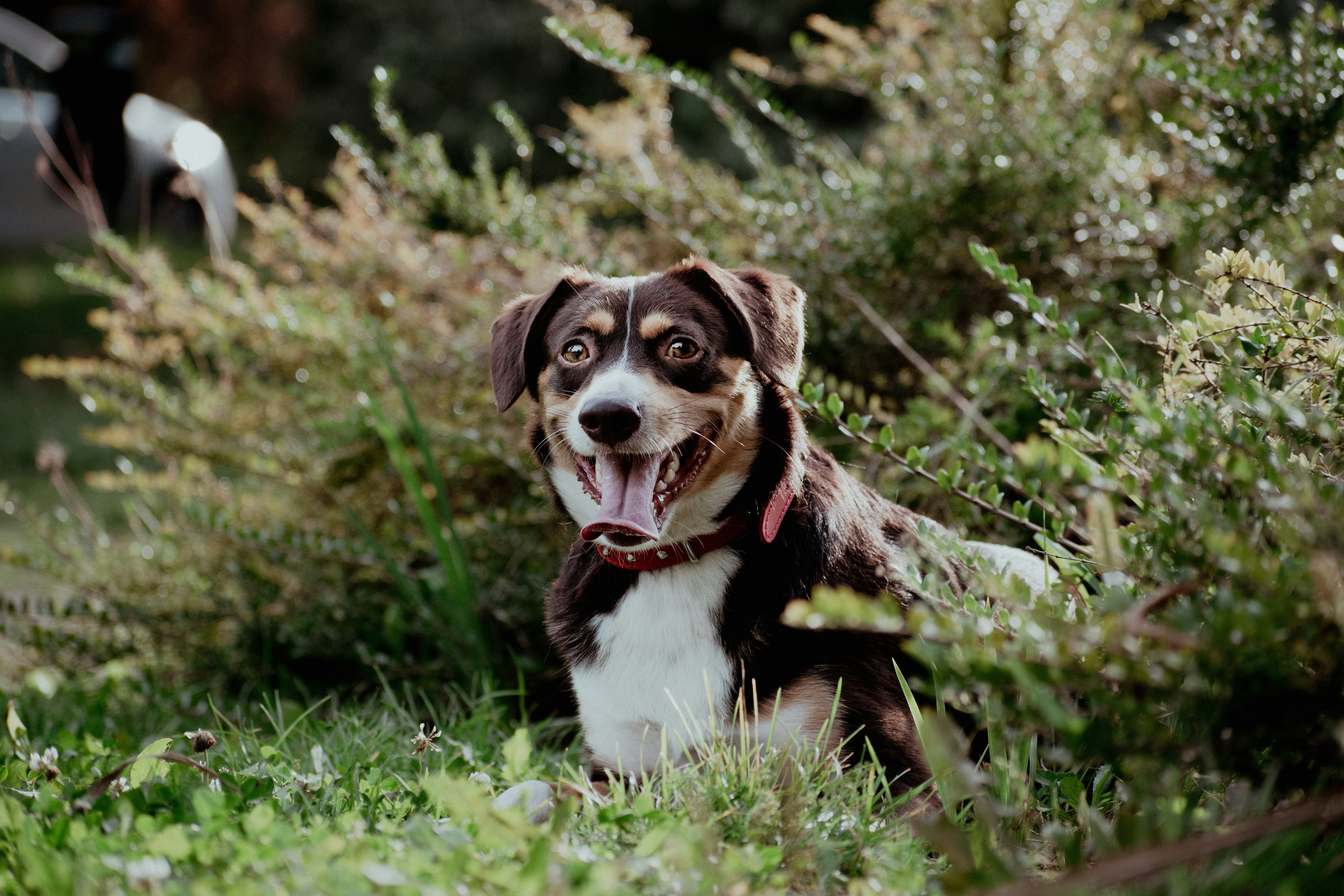 Photo by colorful_jelly