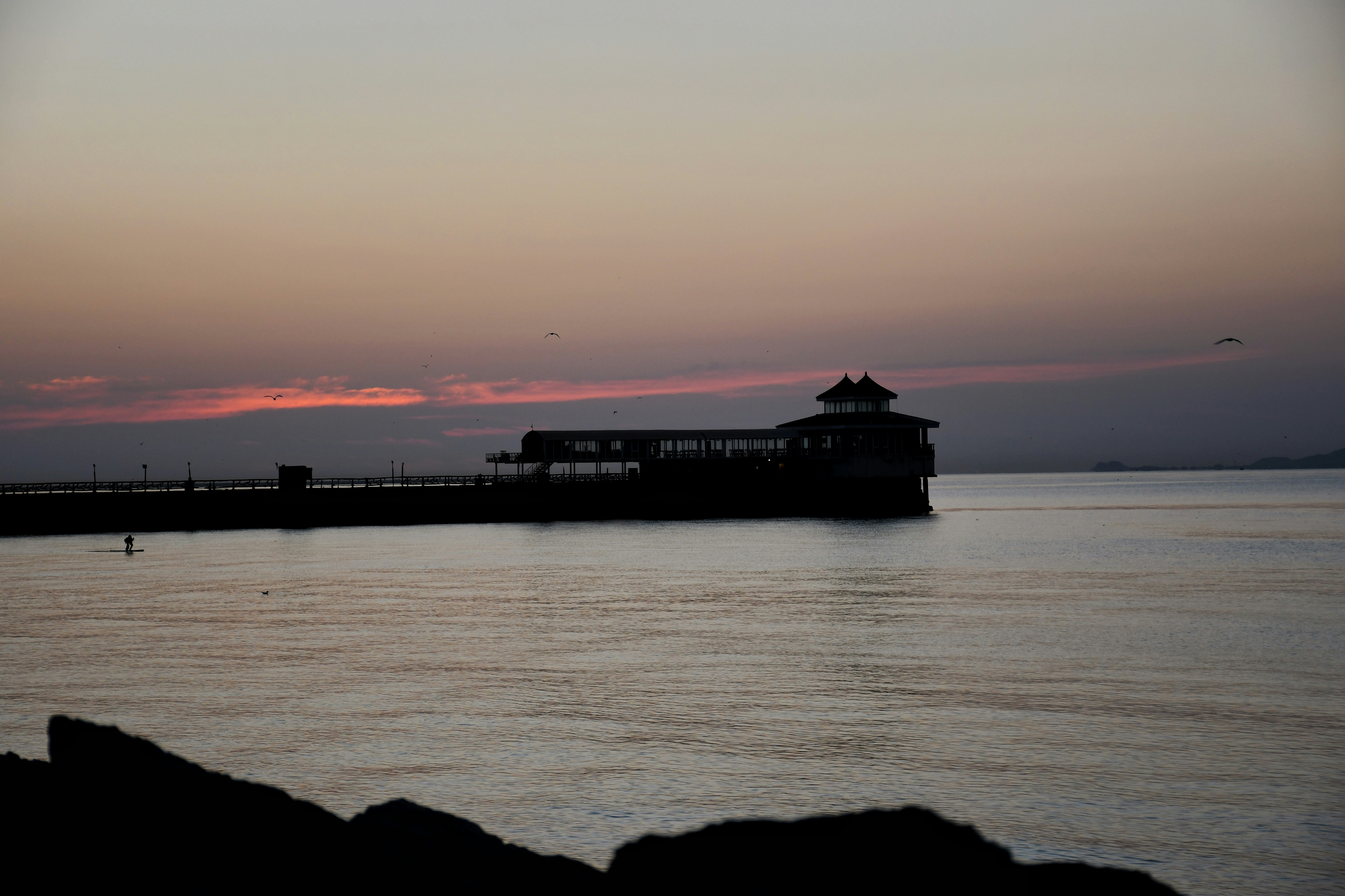 Photo by amirrezadadbin