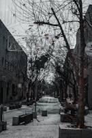 An empty street conveying isolation caused by toxic individuals.