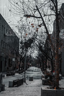 An empty street conveying isolation caused by toxic individuals.