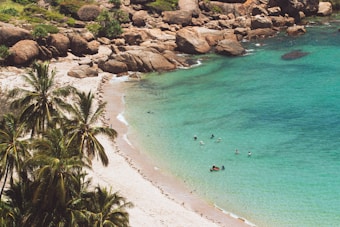 A scenic beach with clear turquoise water and a sandy shore. Several people are swimming in the water near the shore. Large rocks and lush green vegetation cover the rocky cliffs in the background. Palm trees line the edge of the beach, providing a tropical feel.