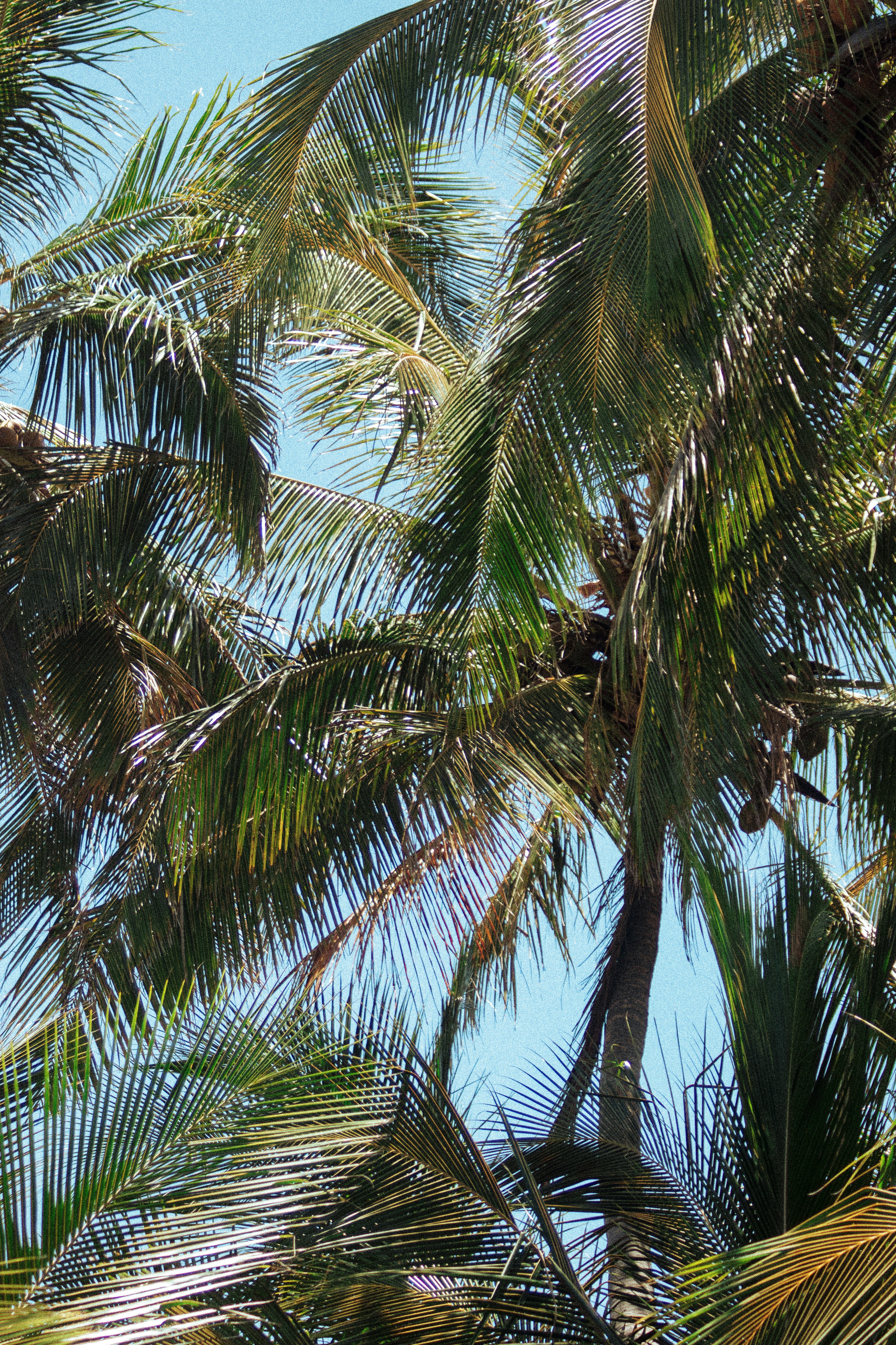 photo of Cocos (Keeling) Islands