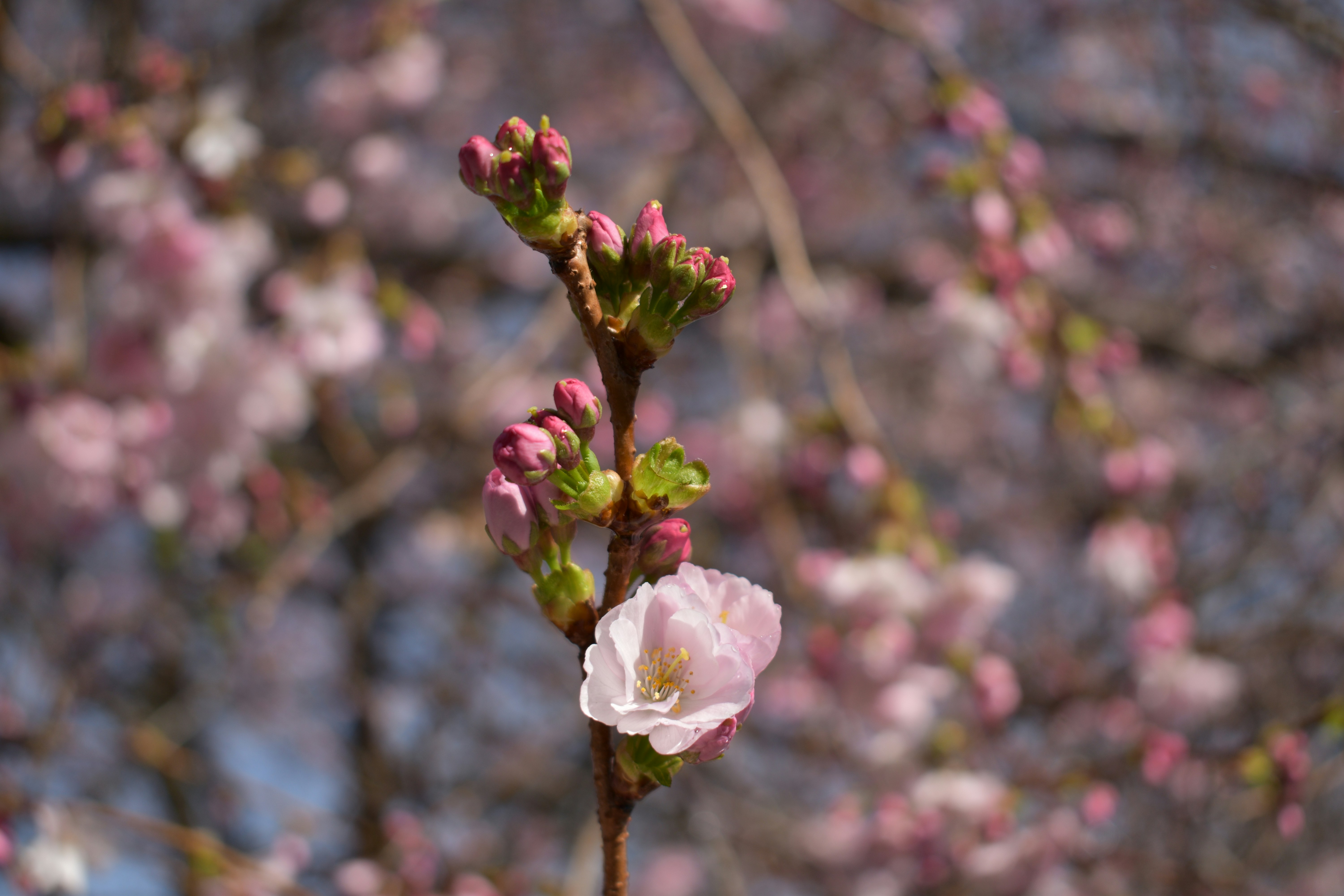 Photo by mynameisleairiva