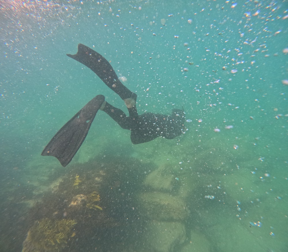 a person in a wet suit diving in the water