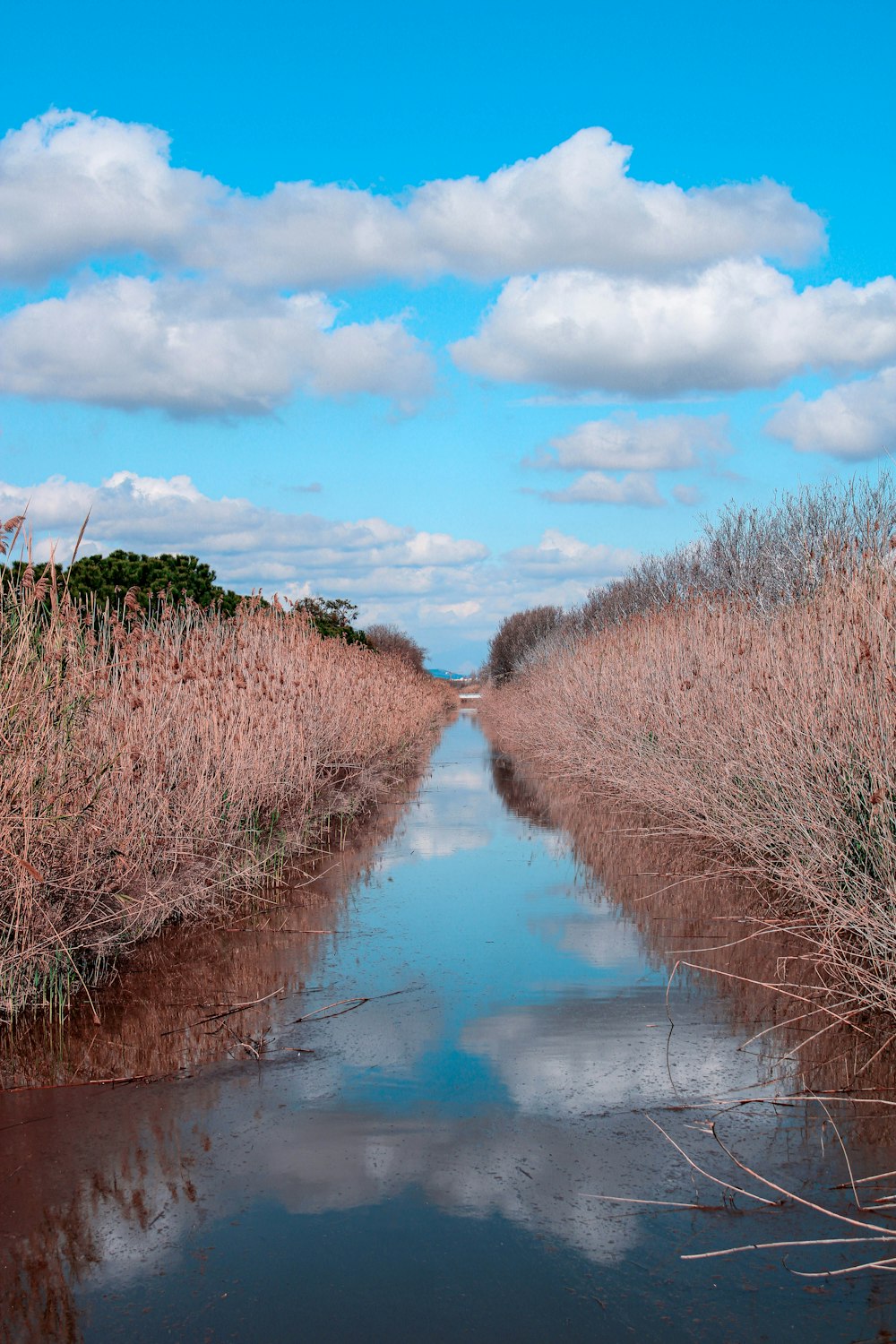 Ein Fluss, der durch ein mit trockenem Gras bedecktes Feld fließt