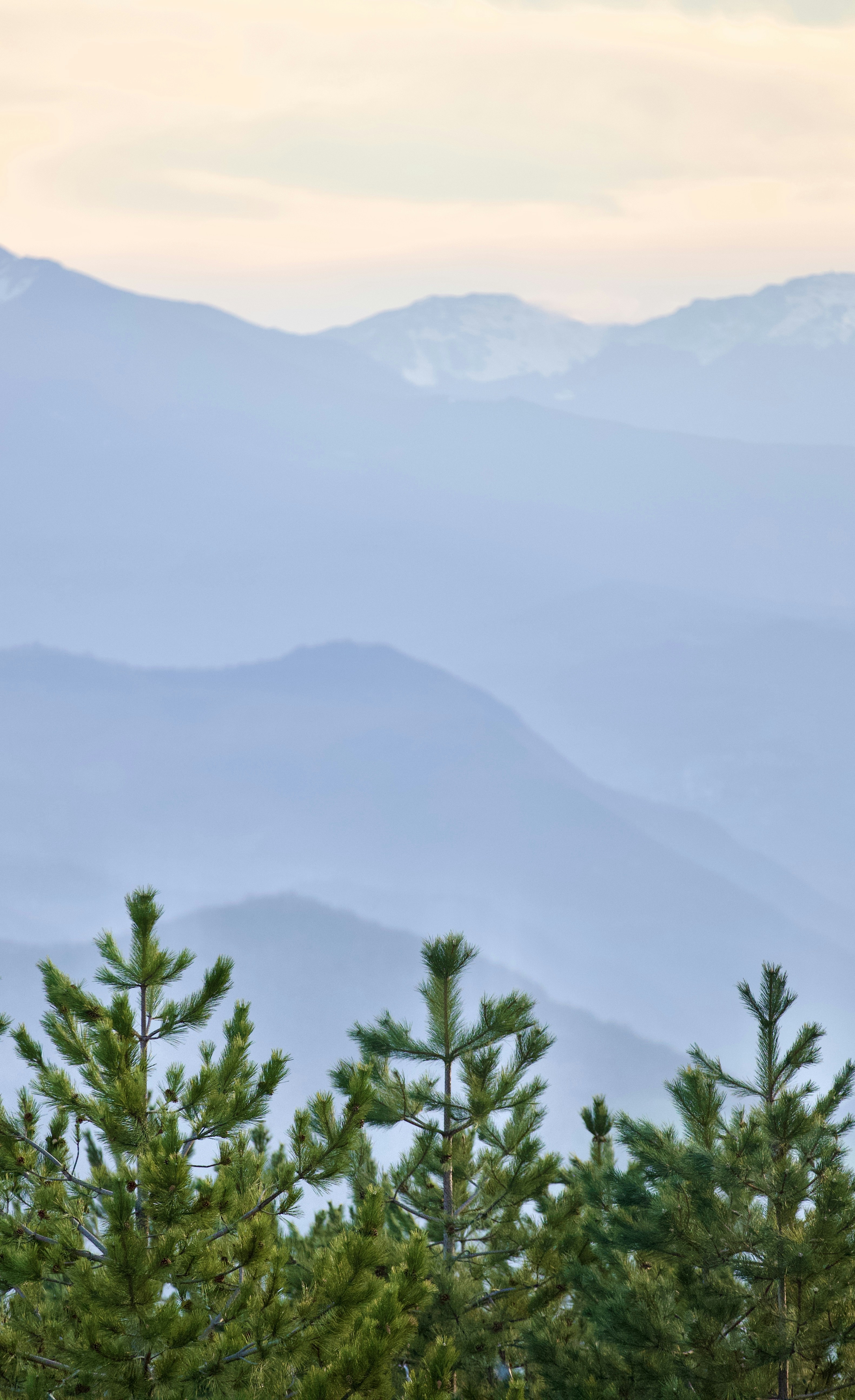 a view of a mountain range with trees in the foreground