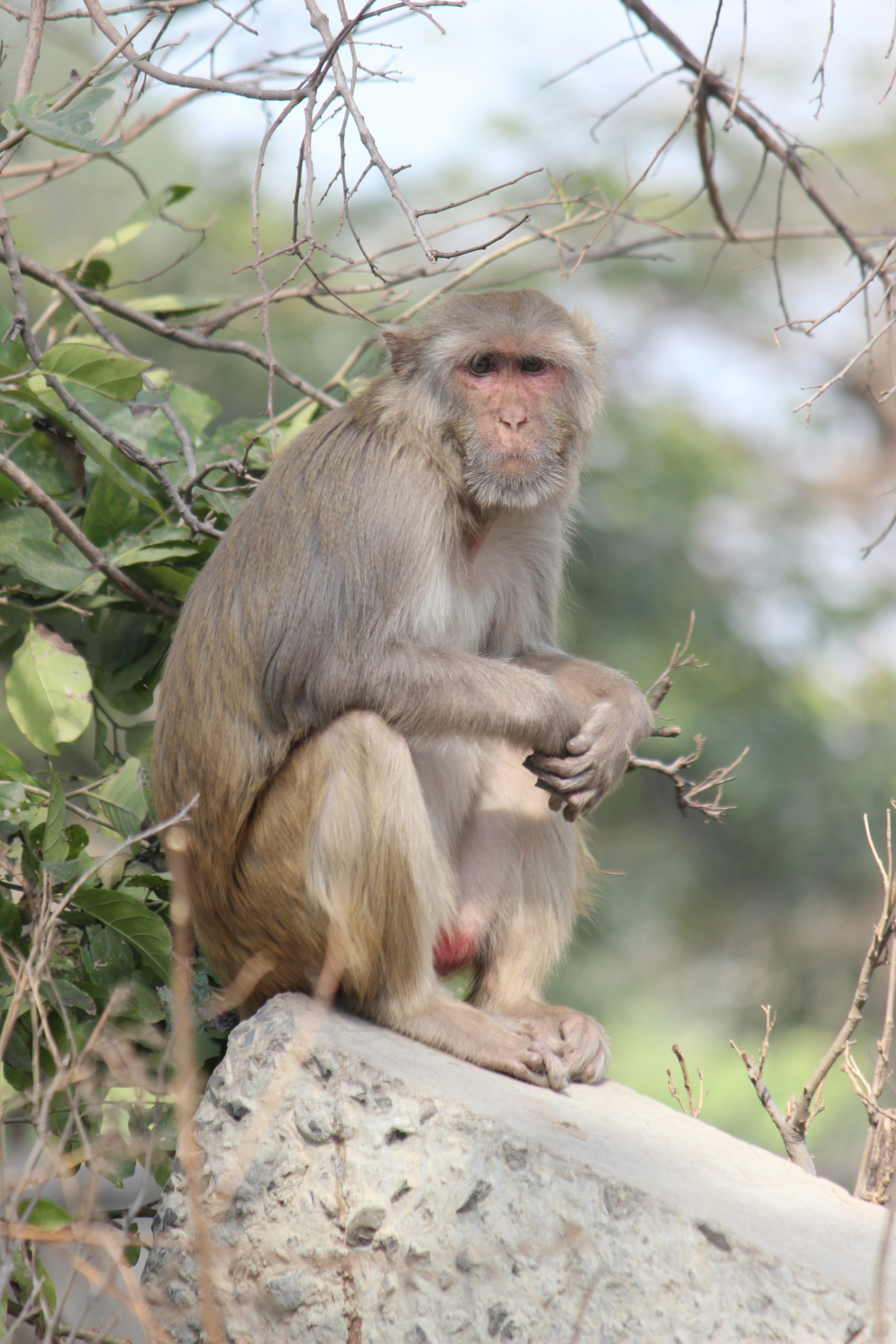 Photo by anuj_jadon_photography