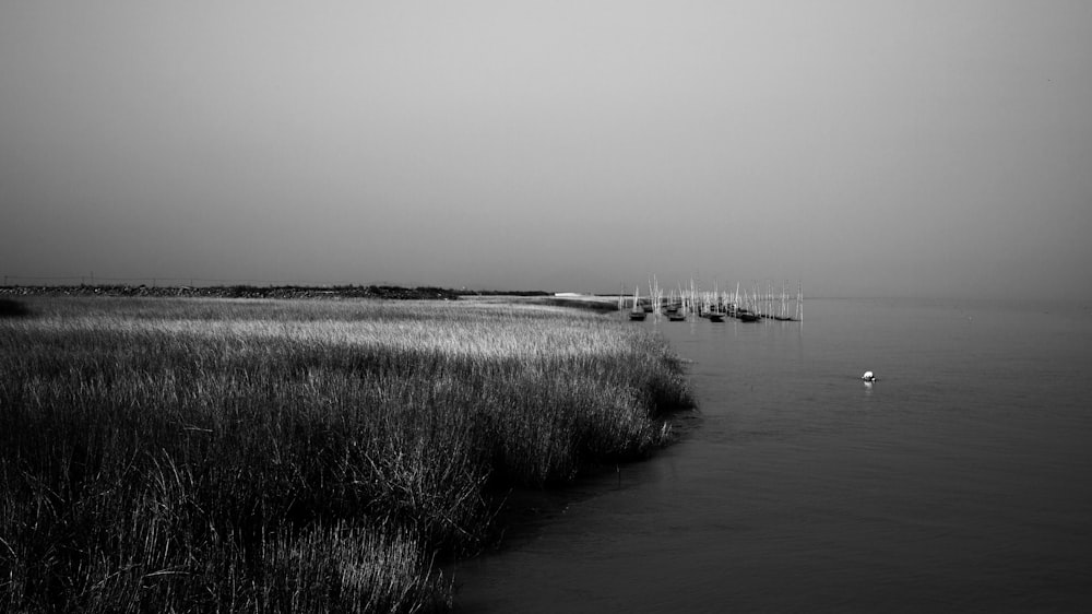 a black and white photo of a body of water