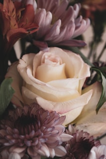 a close up of a bouquet of flowers