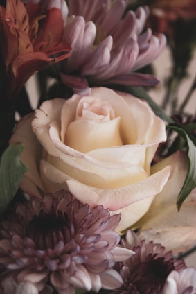 a close up of a bouquet of flowers