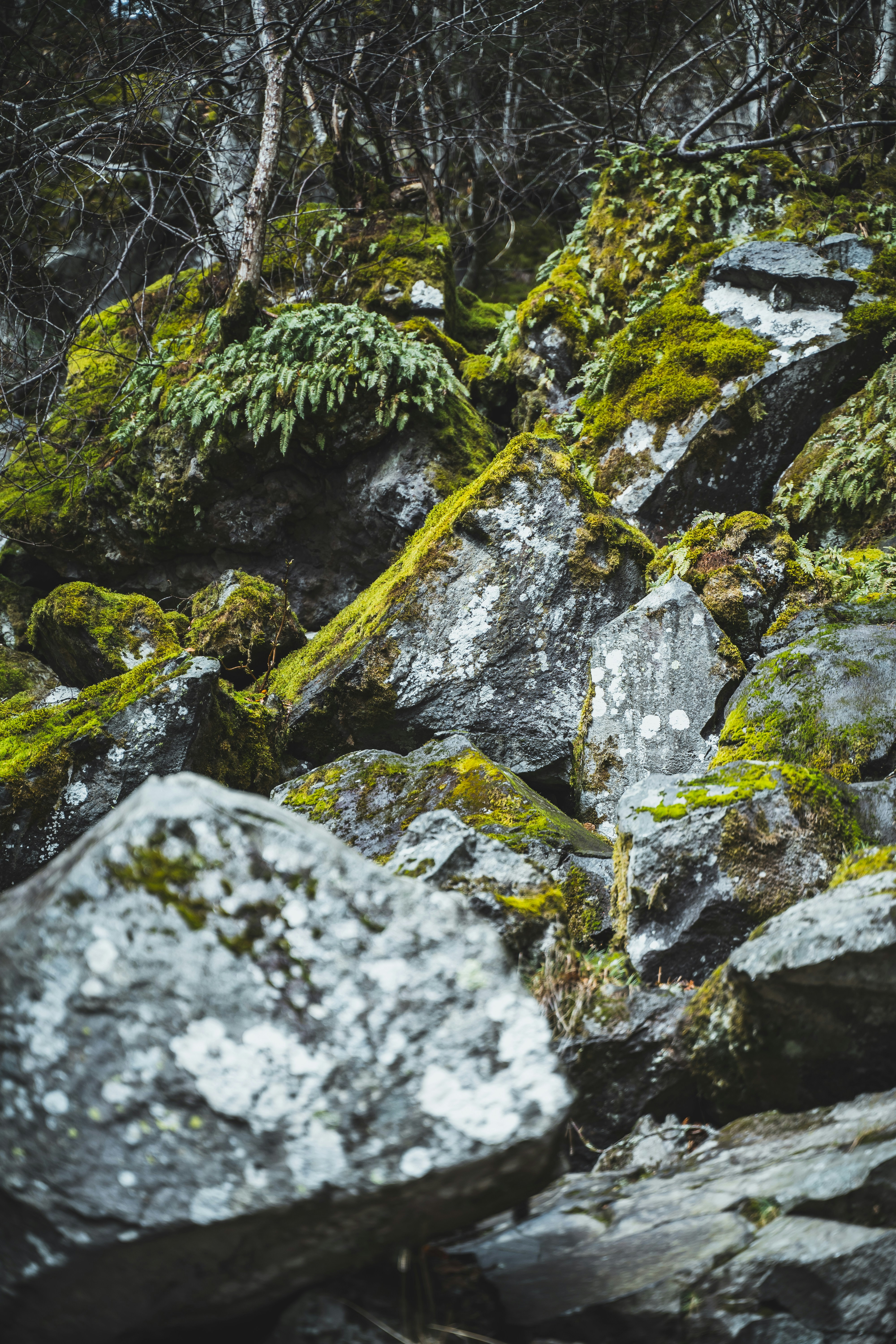 Photo by bruncolombo