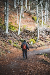 a person with a backpack walking on a path in the woods