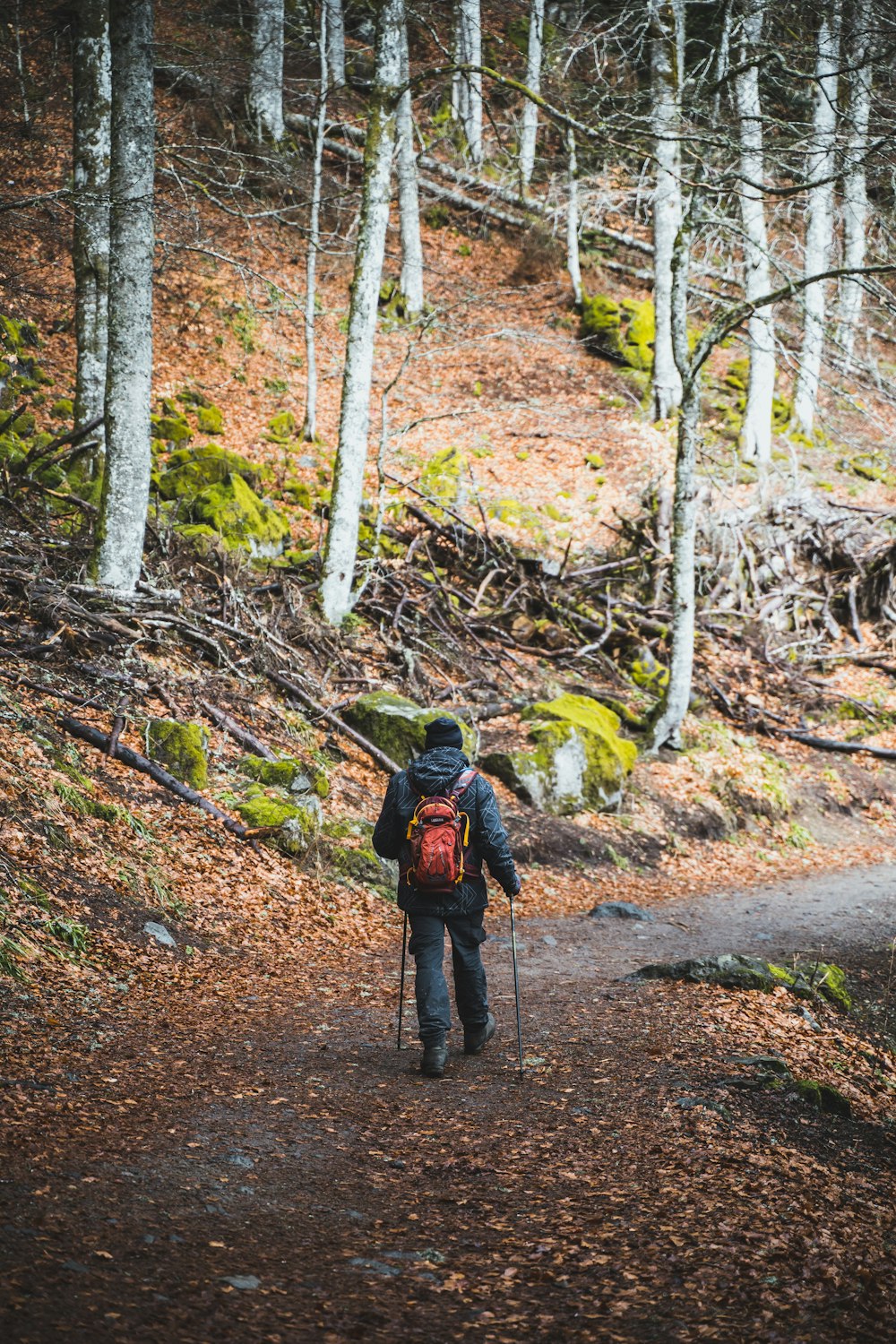 a person with a backpack walking on a path in the woods