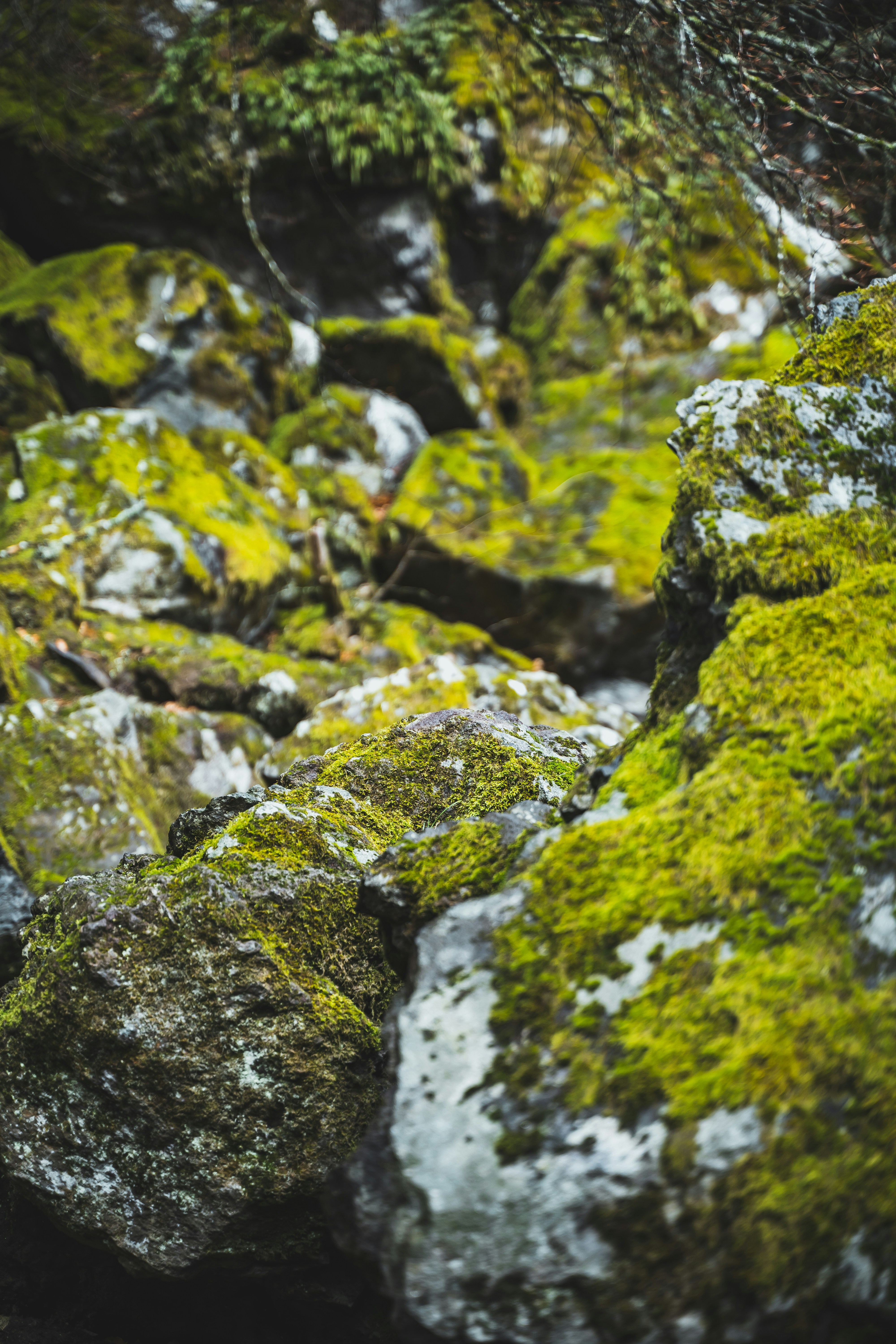 Photo by bruncolombo