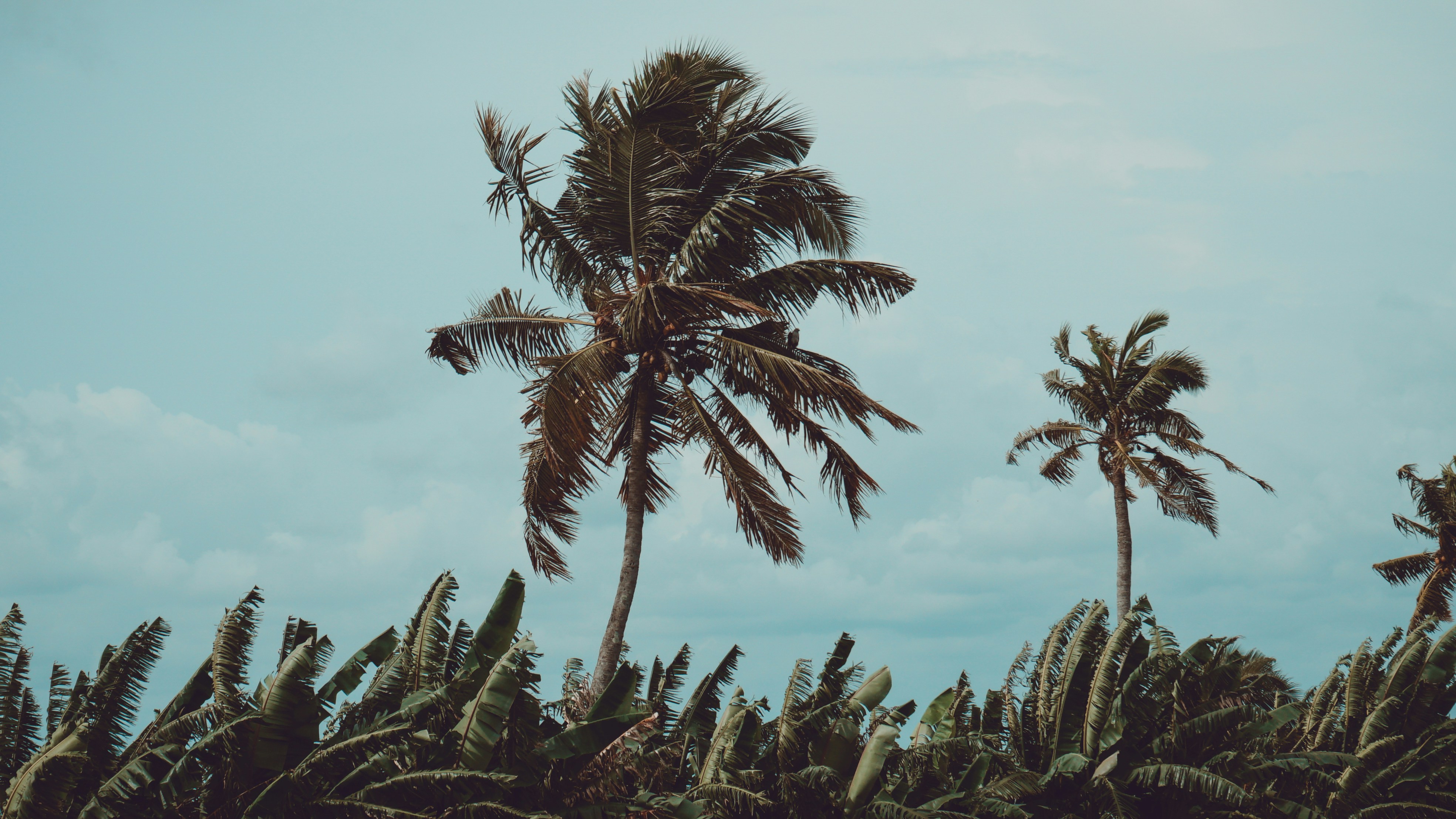 Photo by veecee_photography