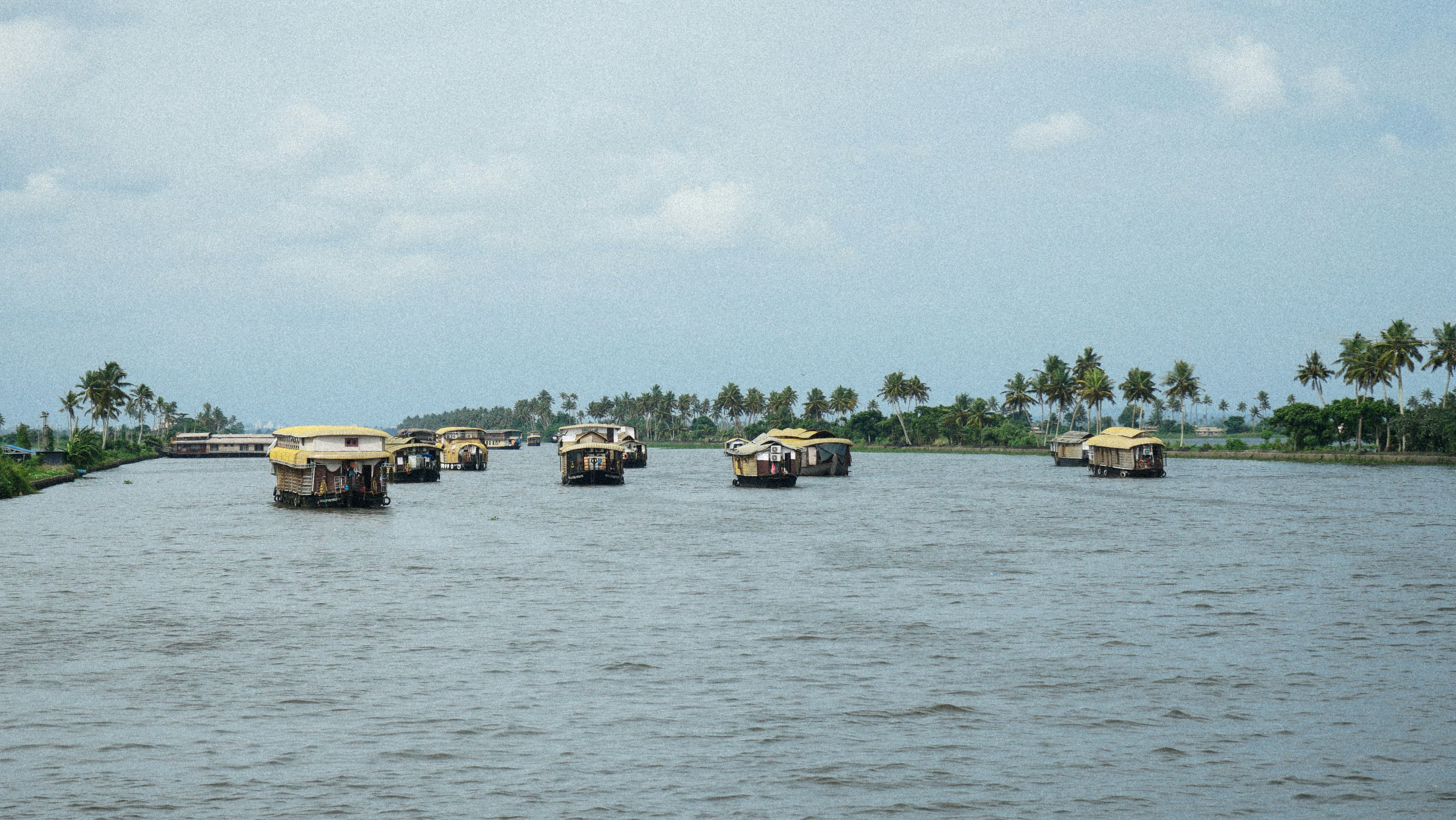 Photo by veecee_photography