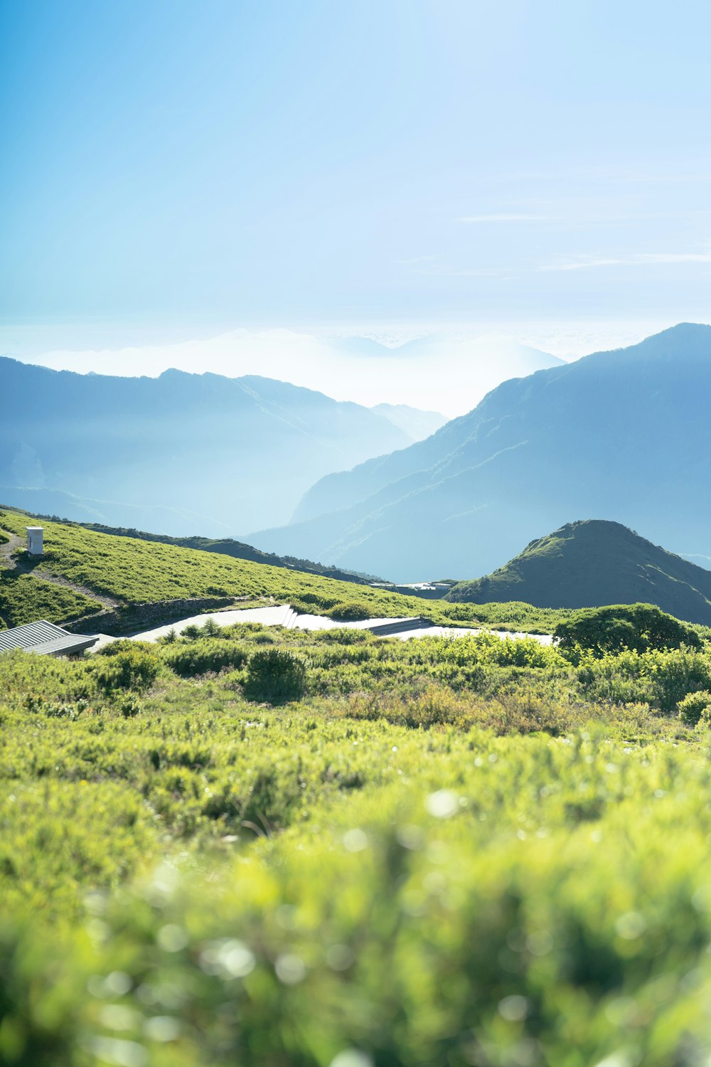 a grassy field with mountains in the background