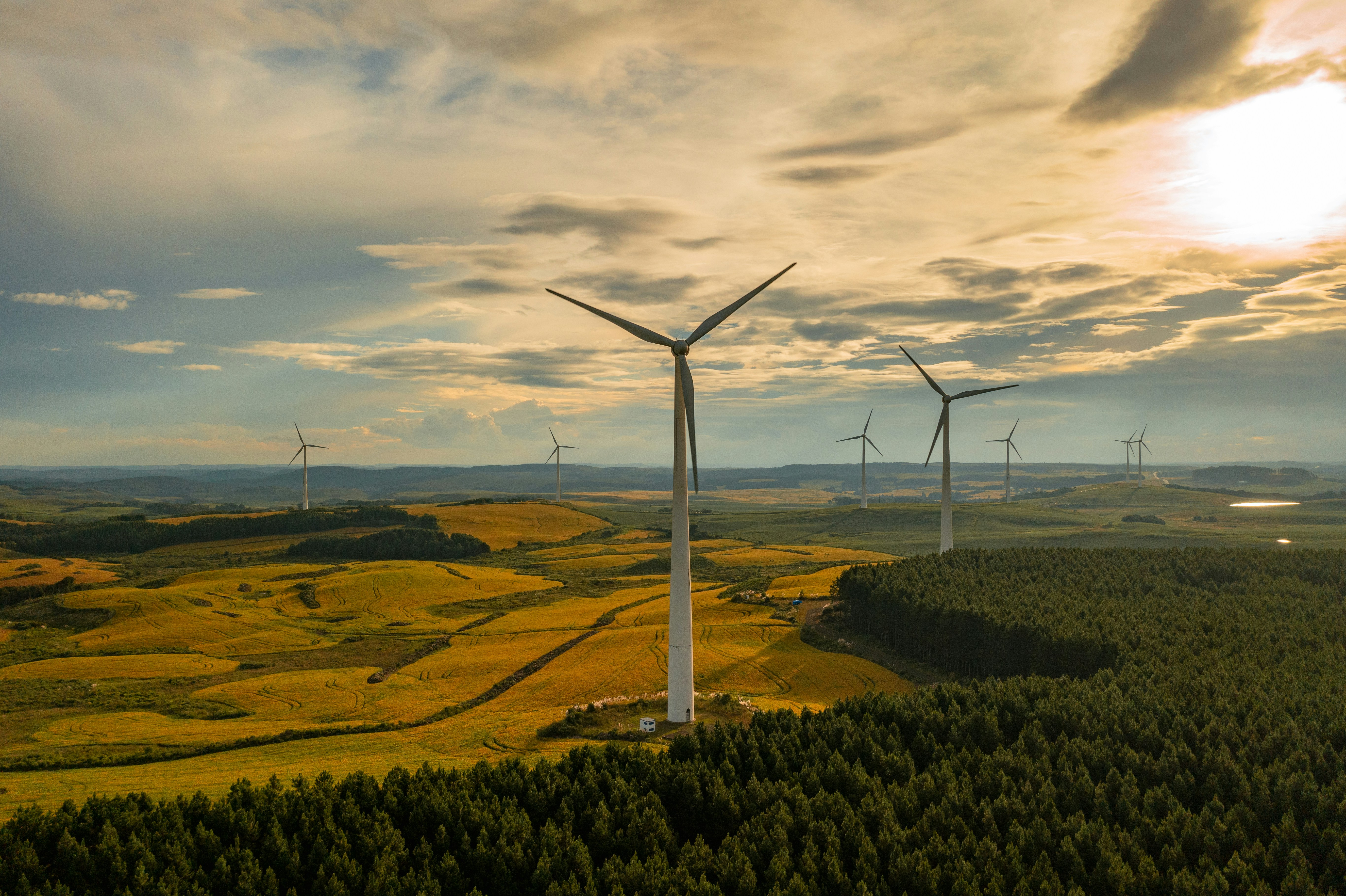 Photo by alexcaceres