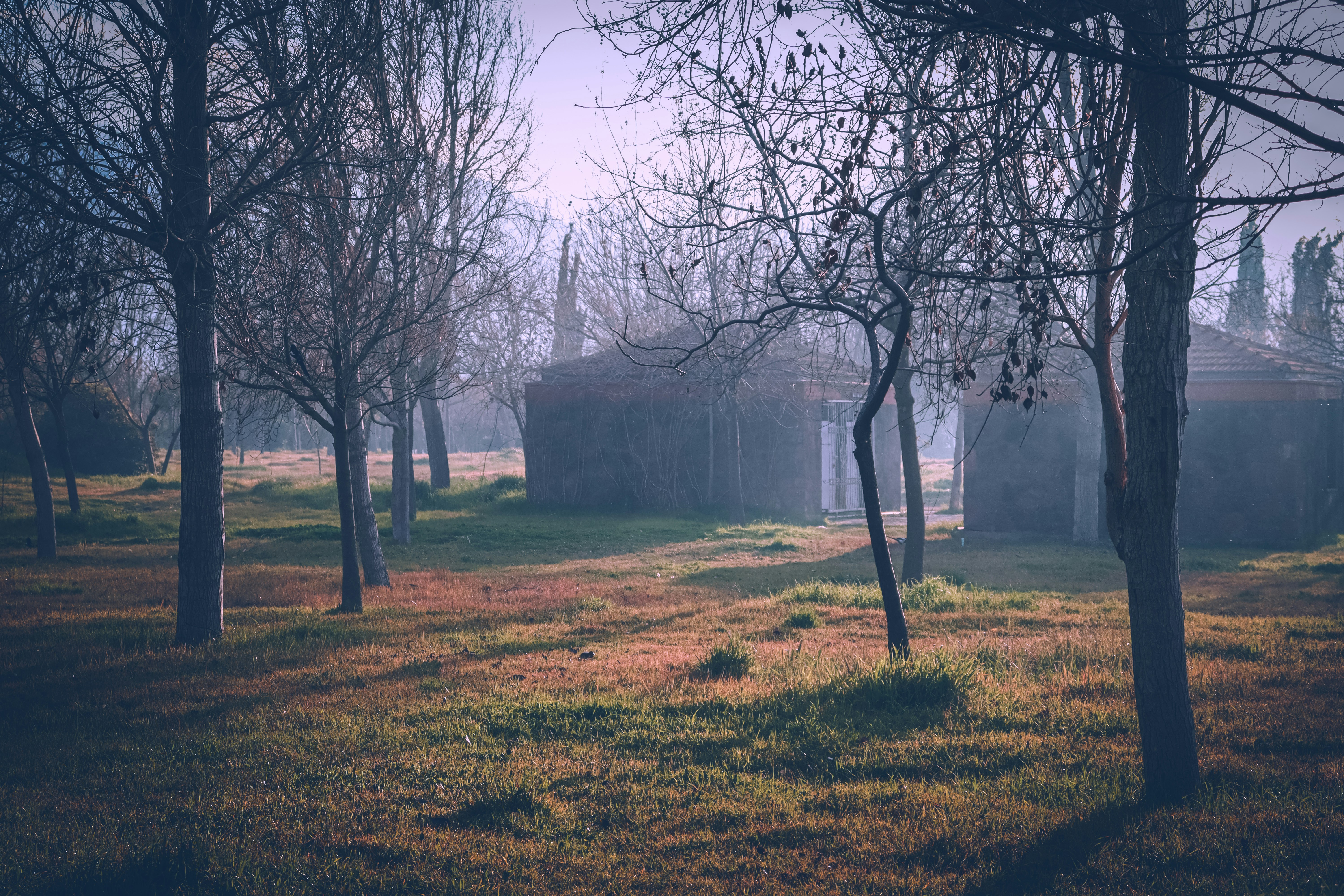 a grassy field with trees and a building in the background