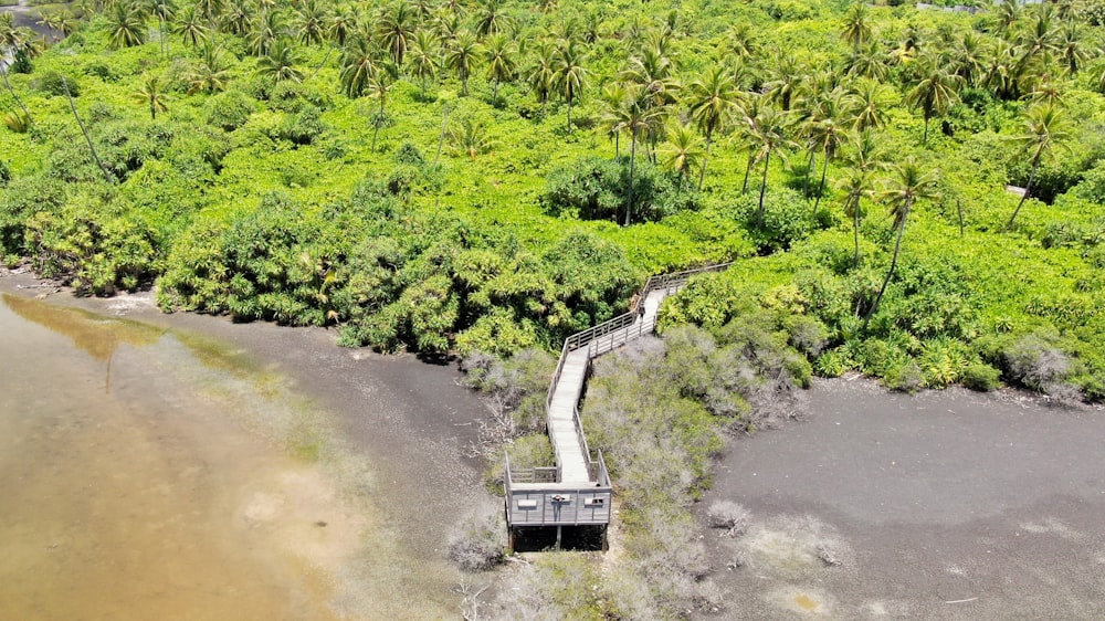 an aerial view of a wooden walkway leading to a beach
