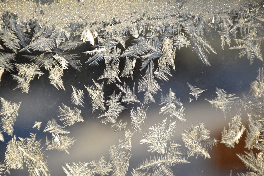 a close up of a window with frost on it